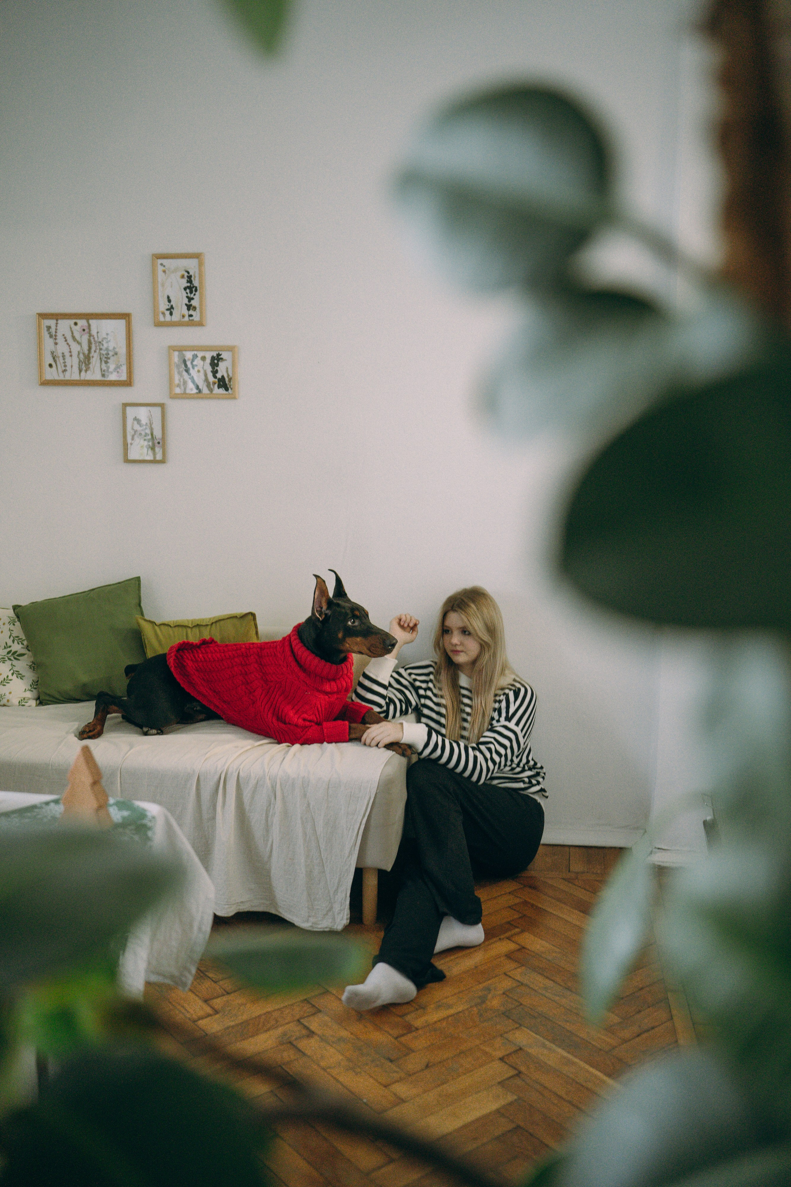 Саша и Асти. Фотограф анималист в Москве и Санкт-Петербурге Свиридова Анна