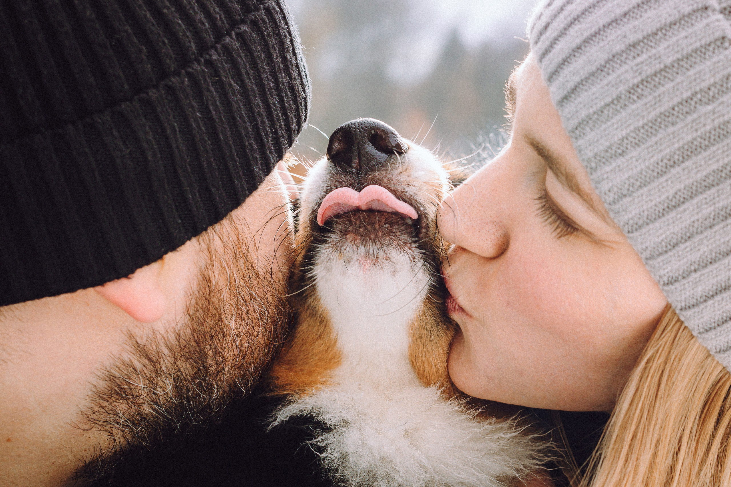 Таня, Ваня и Гром