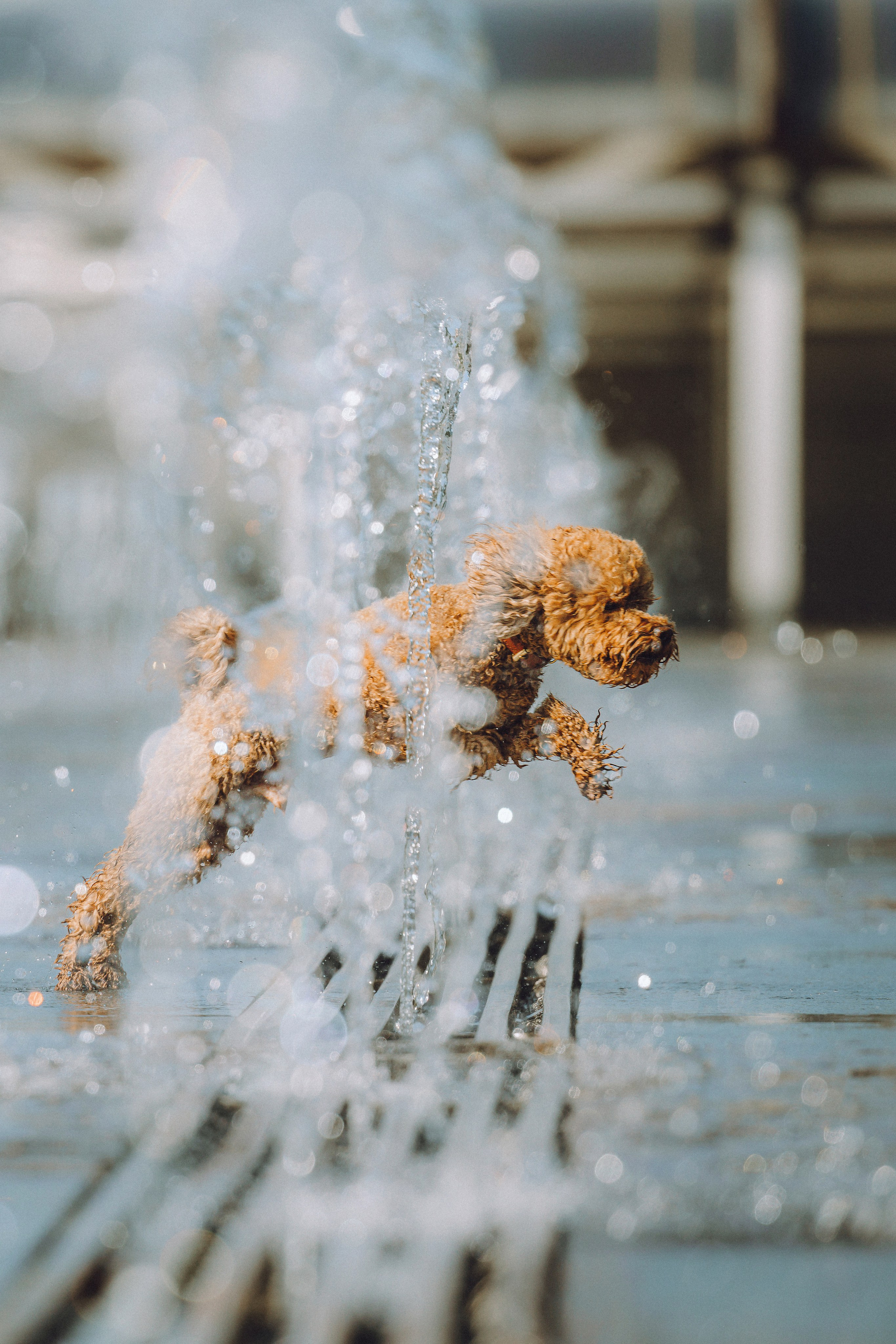 Марья и Буба