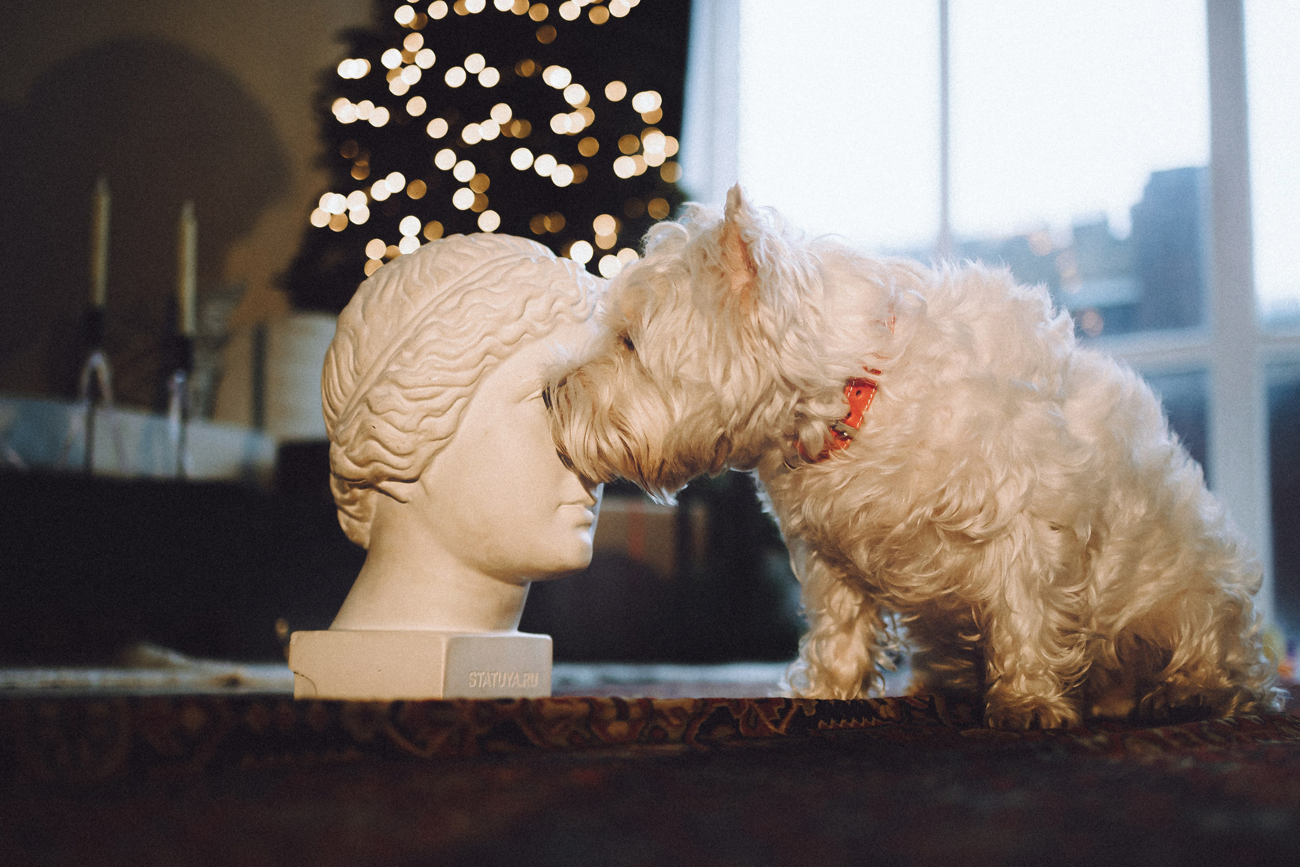 Вика, Глеб и Тори