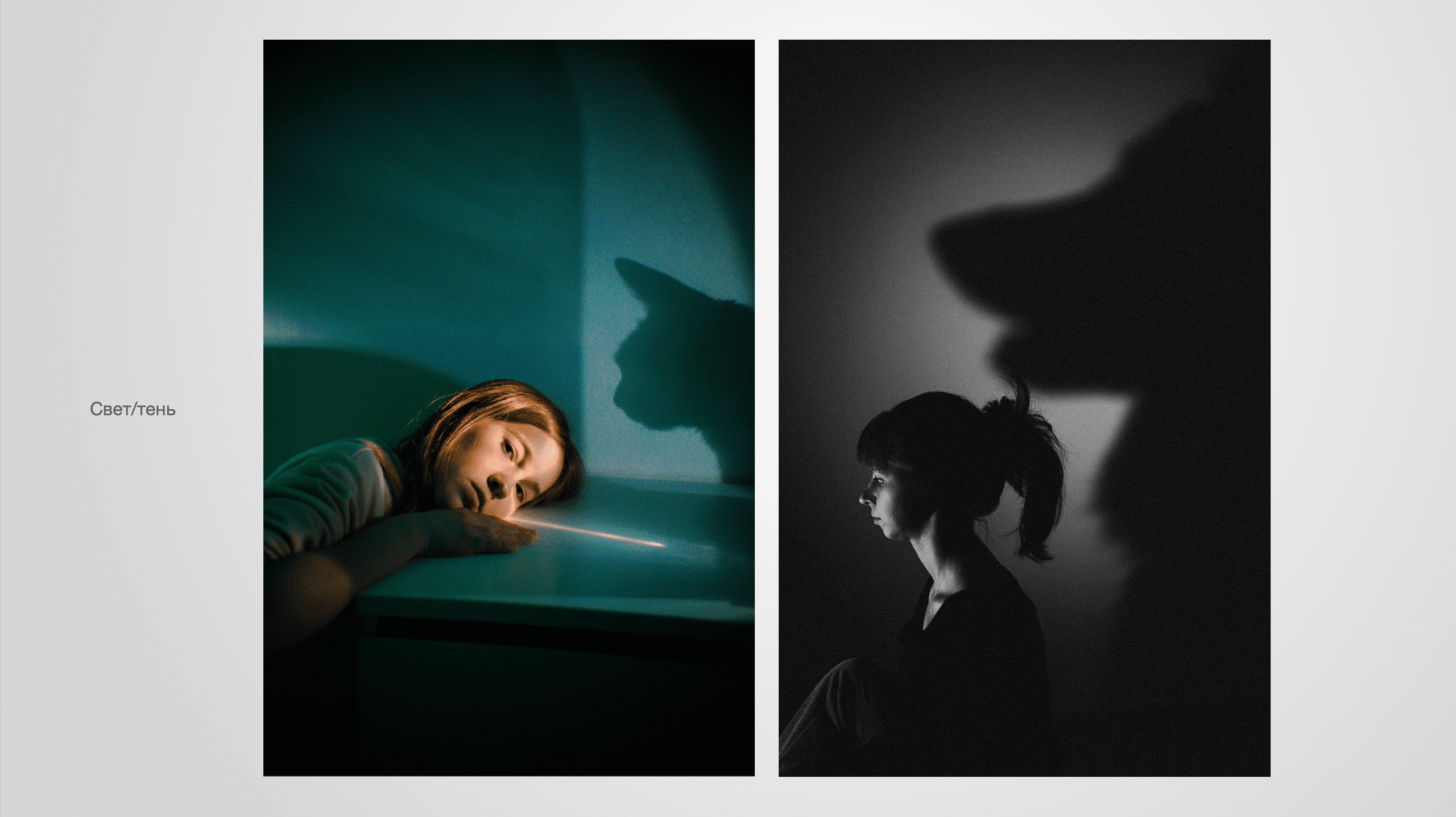 Курсы на фотографа-анималиста