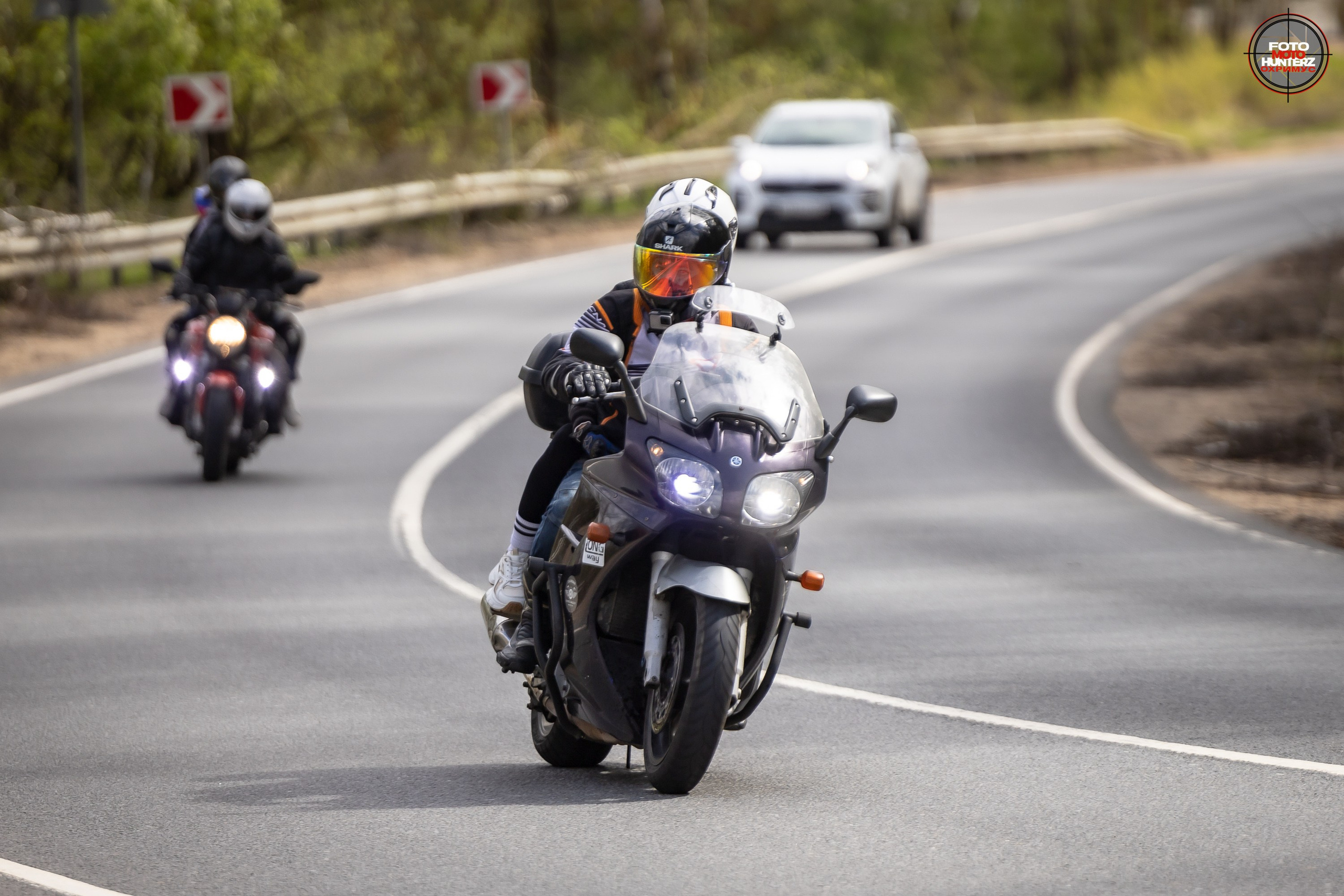 Первое Сафари в 2025 г. на Рогачевском ш. Фотограф Владимир Охрименко