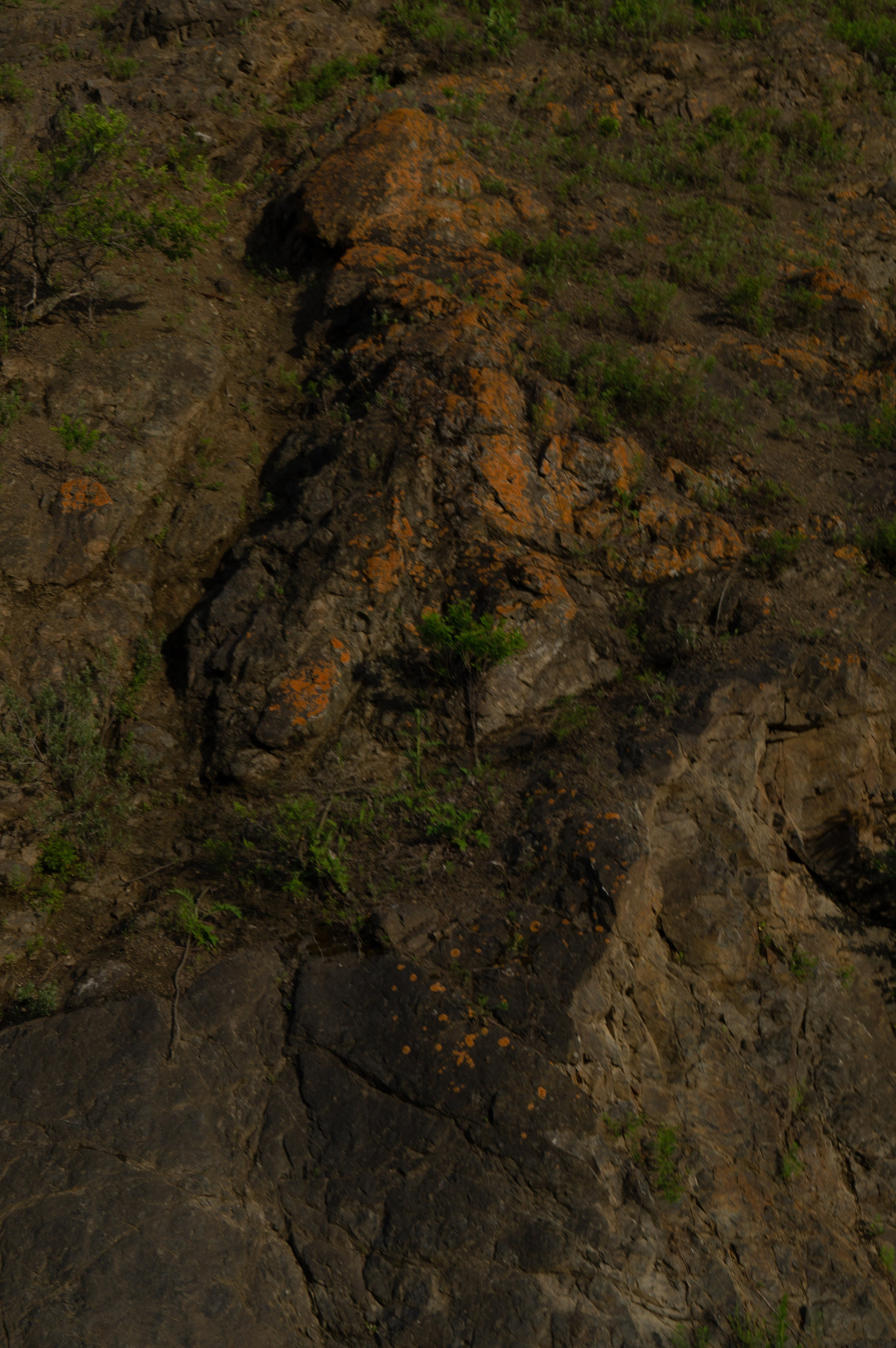 дачи, город, архитектура, стрит, репортажная фотография, фотография, Хабаровск, фотосессия, фотограф, дом, новостройка, улицы, жизнь города, town, art, photo, photographer, photo, Khabarovsk, Far East, street photo, природа, Дальний Восток, тайга, цветы, закат, небо, облака, nature, clouds, forest, flower, sunset, river, река