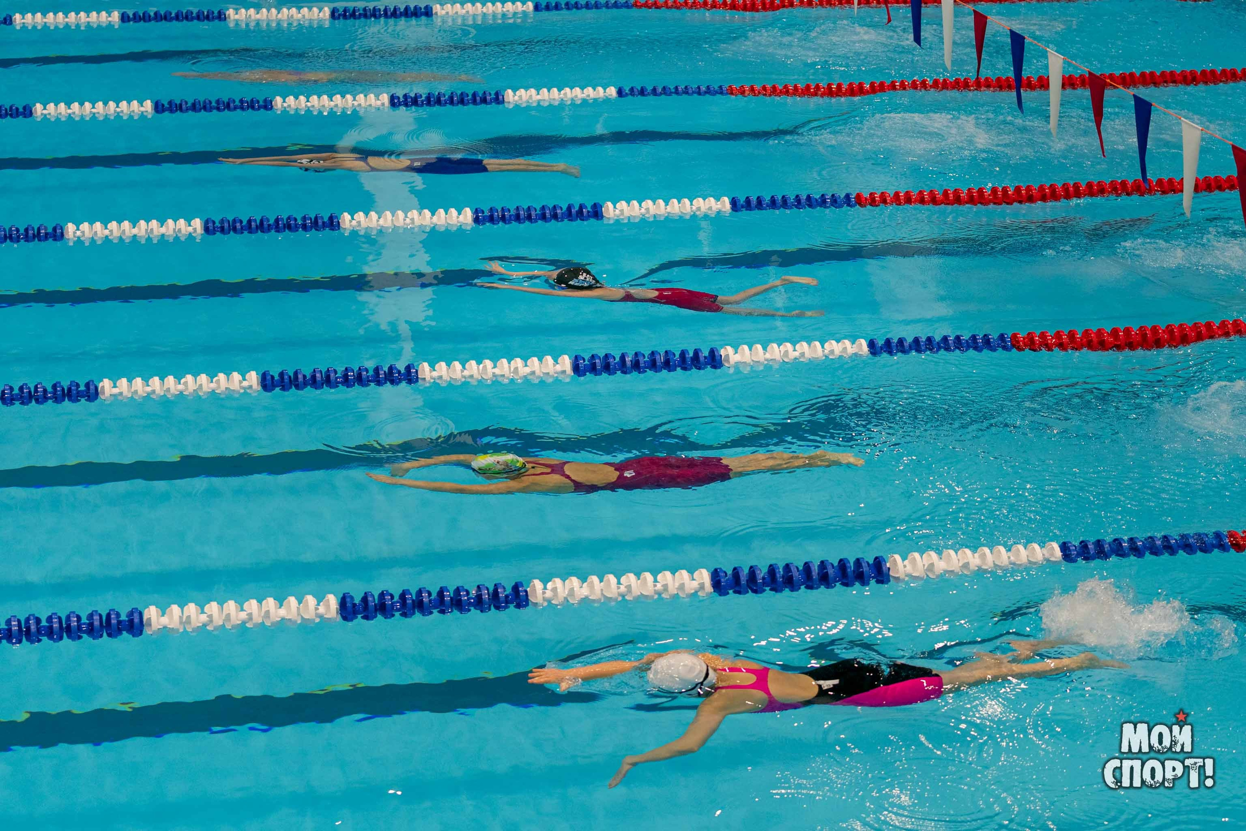 Соревнования по плаванию на призы Деда Мороза. Студия «Мой Спорт!» — все о спорте в Якутии