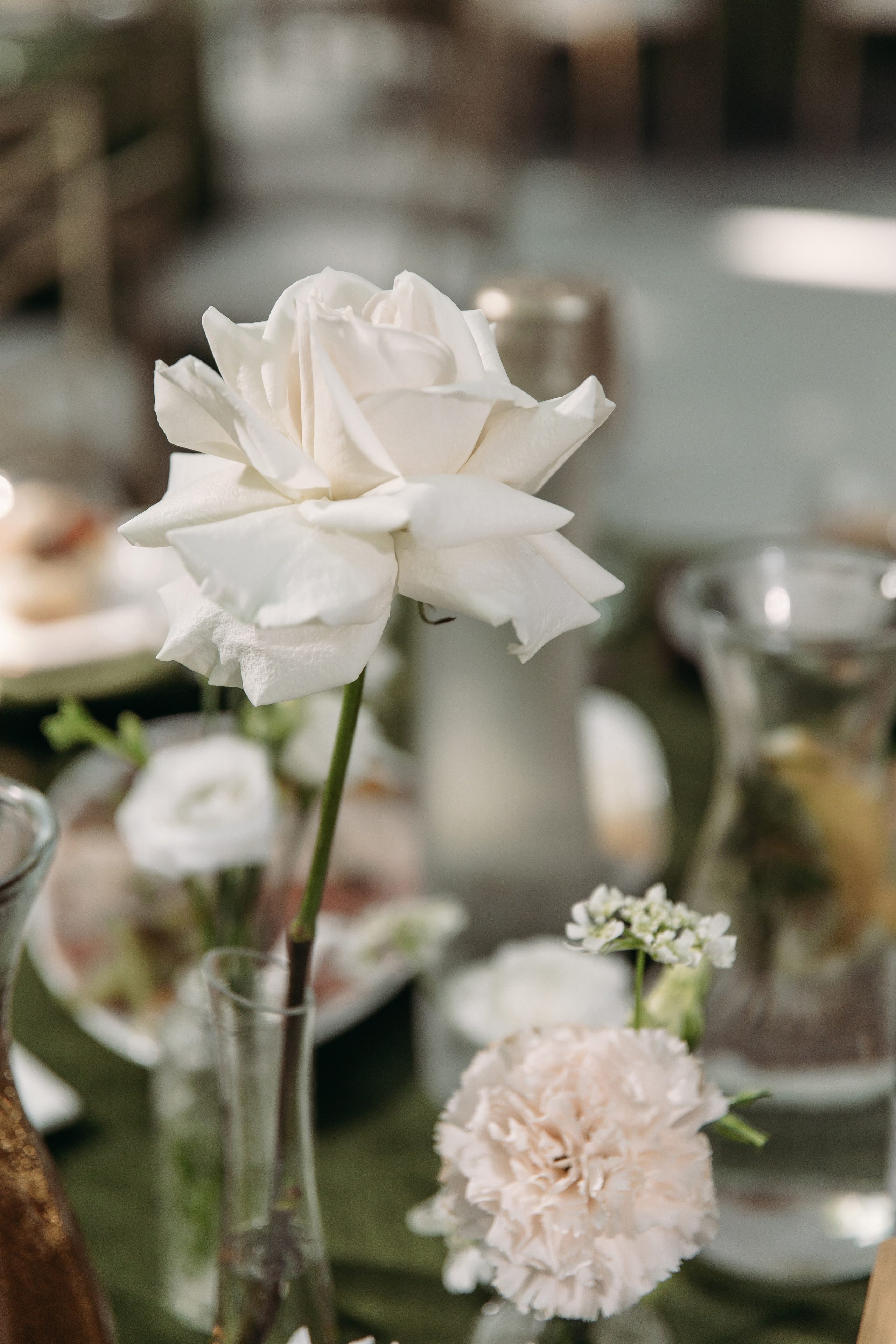 Айрат & Алина. Свадебный ФОТОГРАФ и ВИДЕОГРАФ Ульяновск