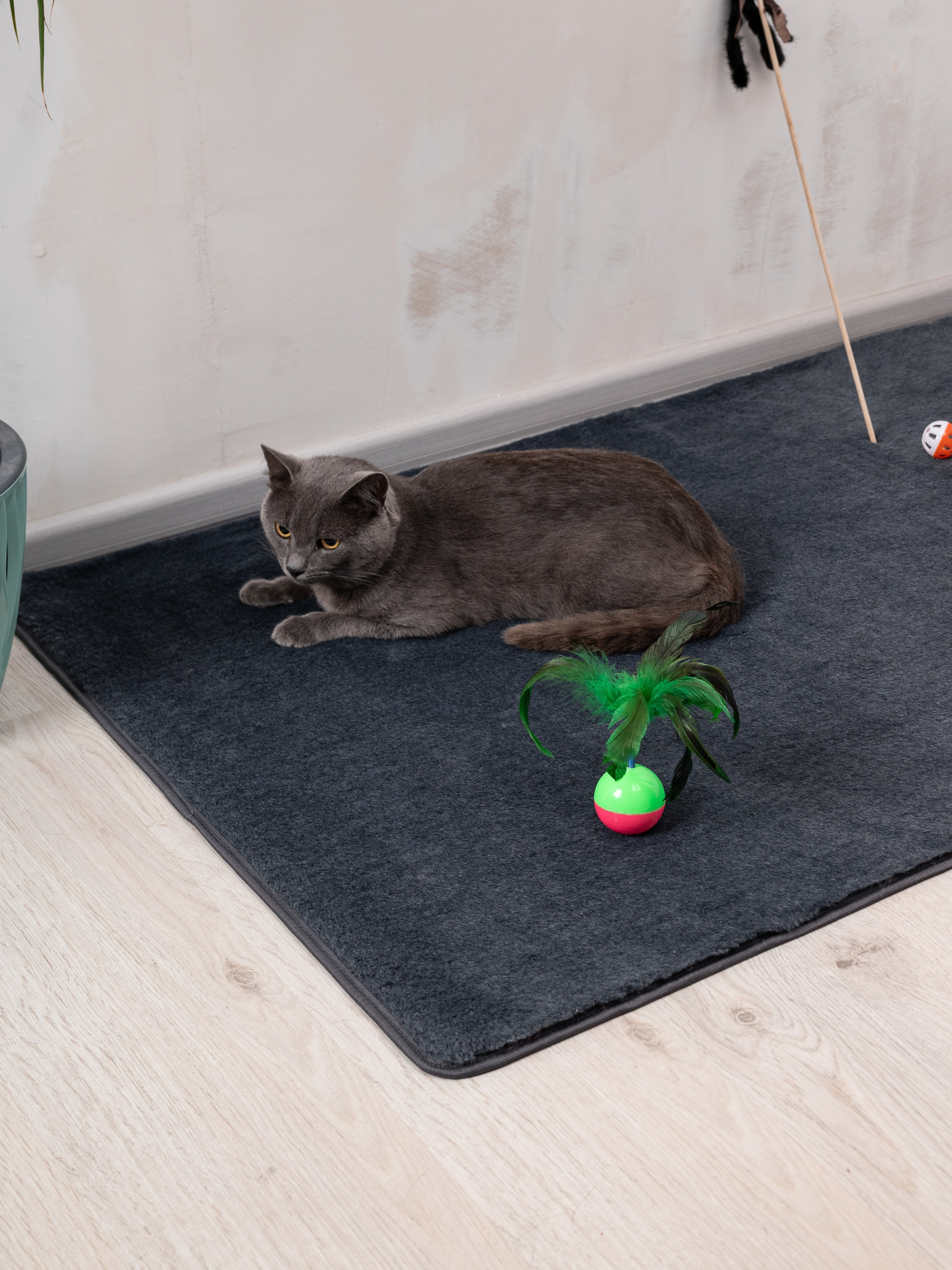 Коврики для дома. Предметный фотограф, фото для маркетплейсов Пятигорск, КМВ