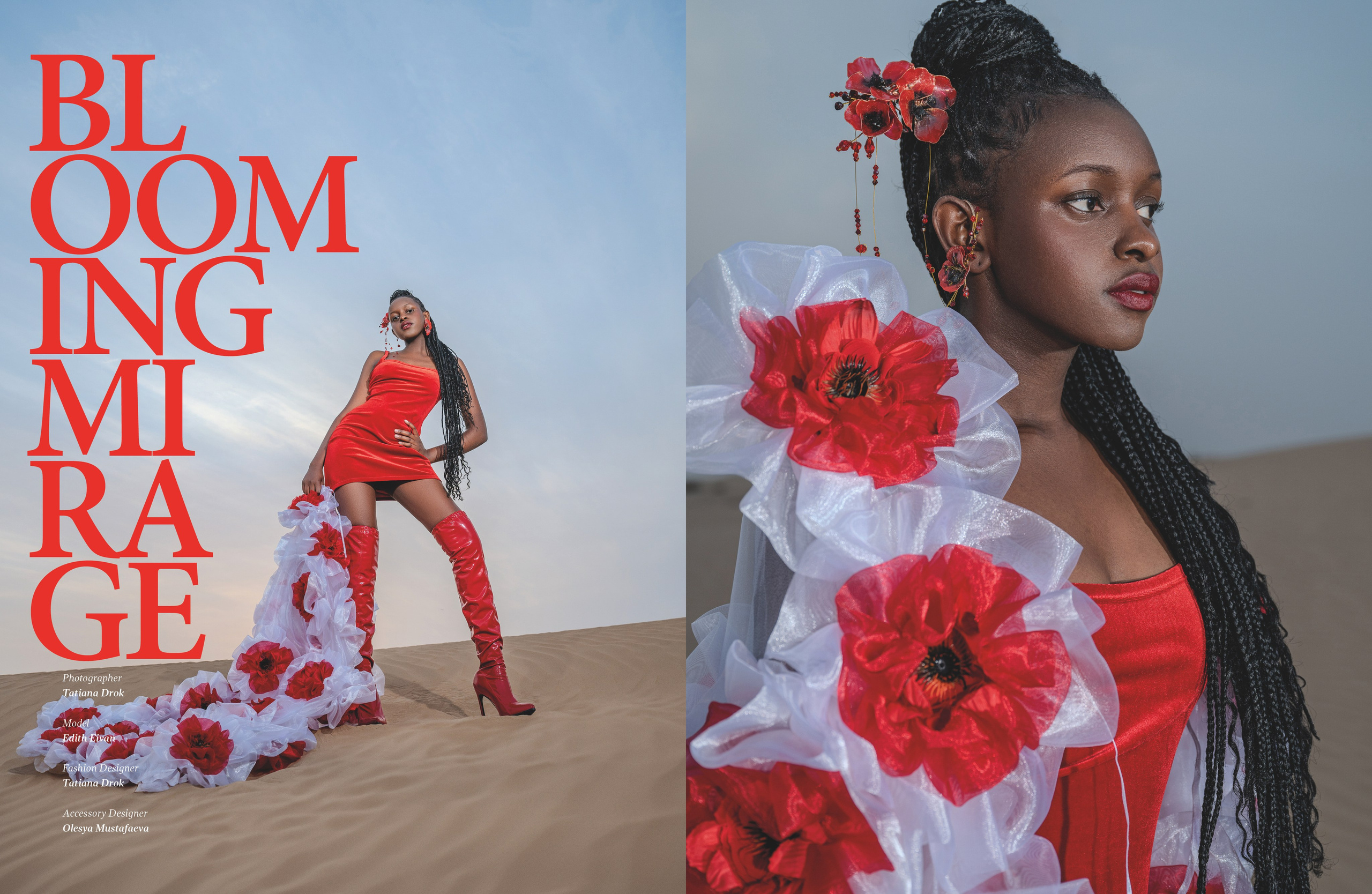 Fashion Magazine. Коммерческий фотограф Москва /Дубай, эксклюзивные фэшн фотосессии