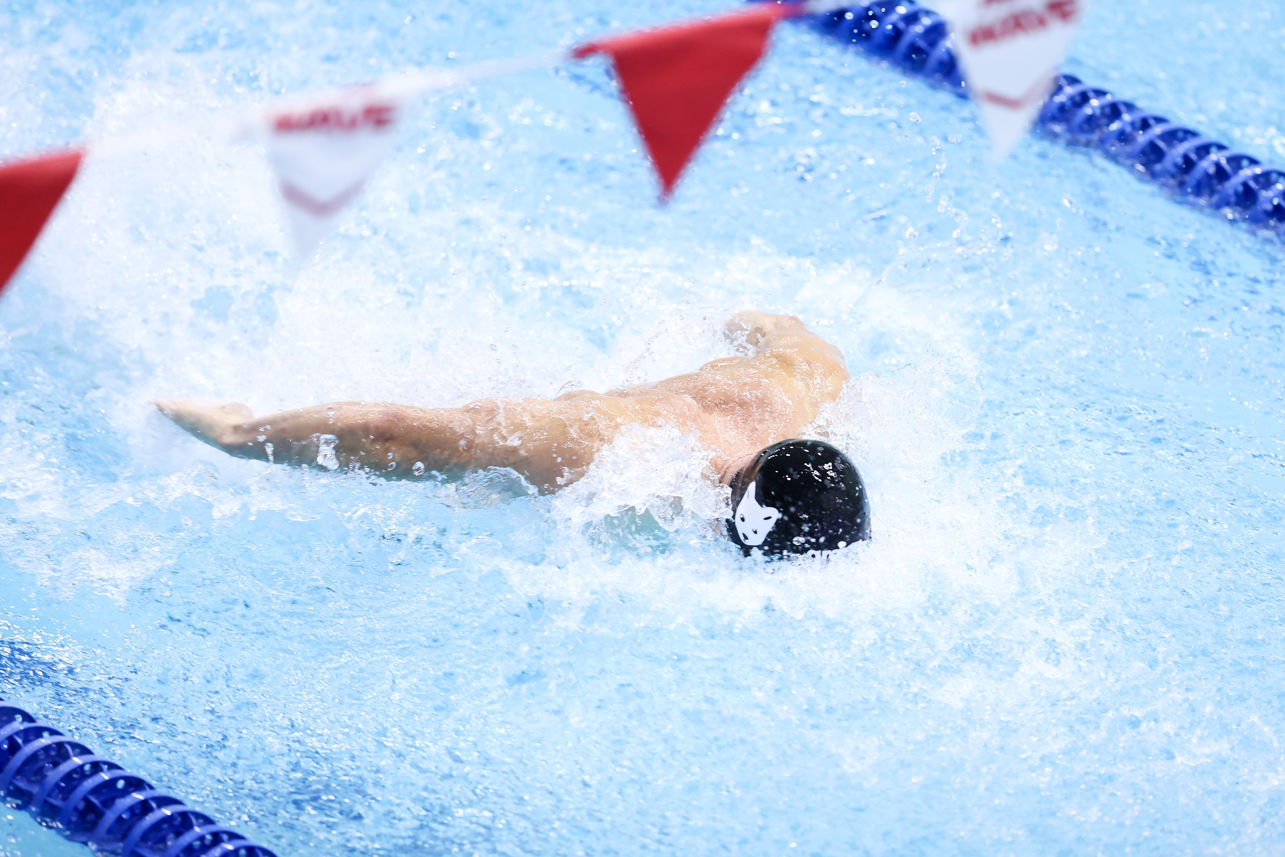Чемпионат России по плаванию 25 м 21-26.11.2024. Спортивный и репортажный фотограф Антон Тереханов