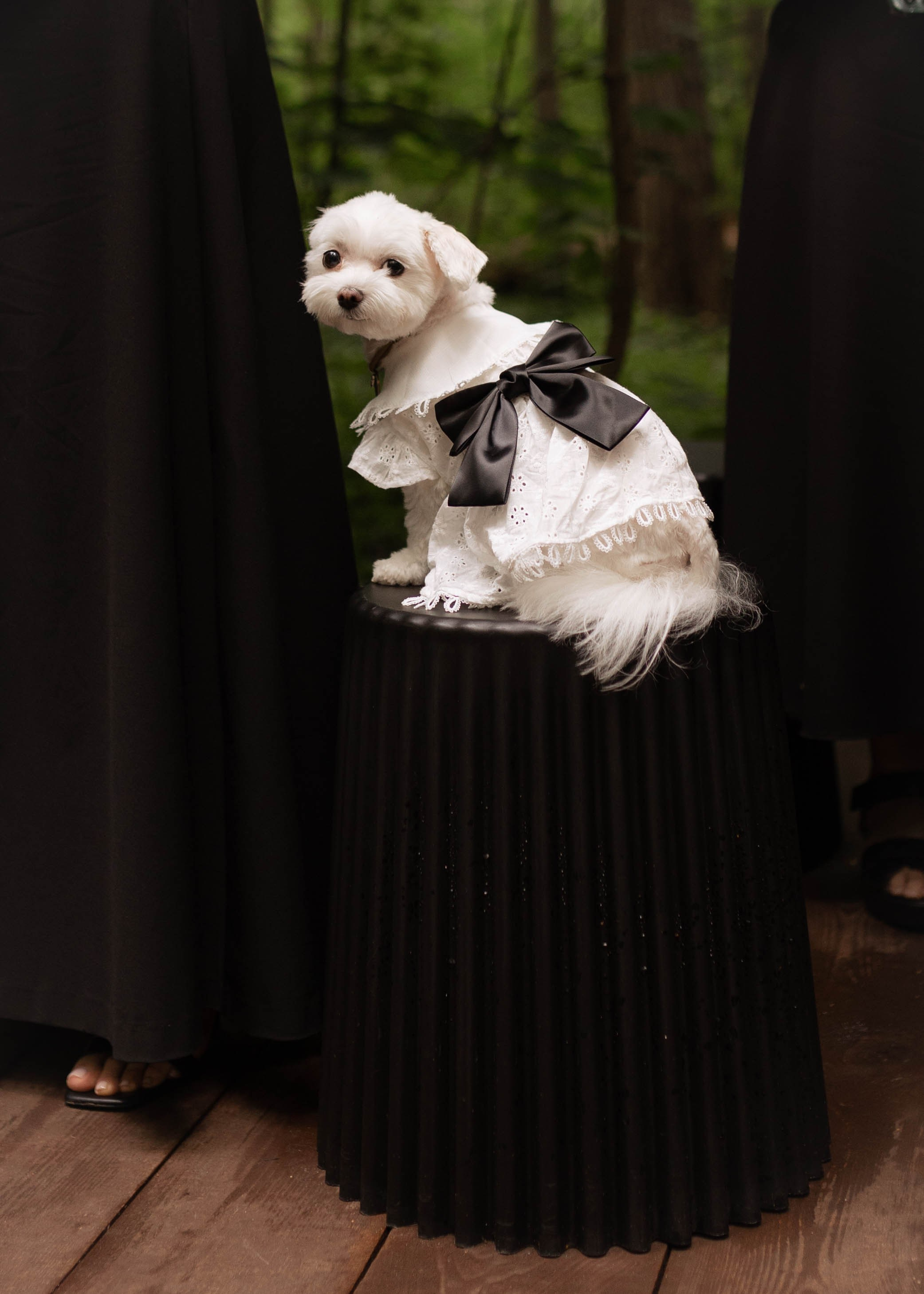Надежда и Николай. Женский и свадебный фотограф Анастасия Митрохина