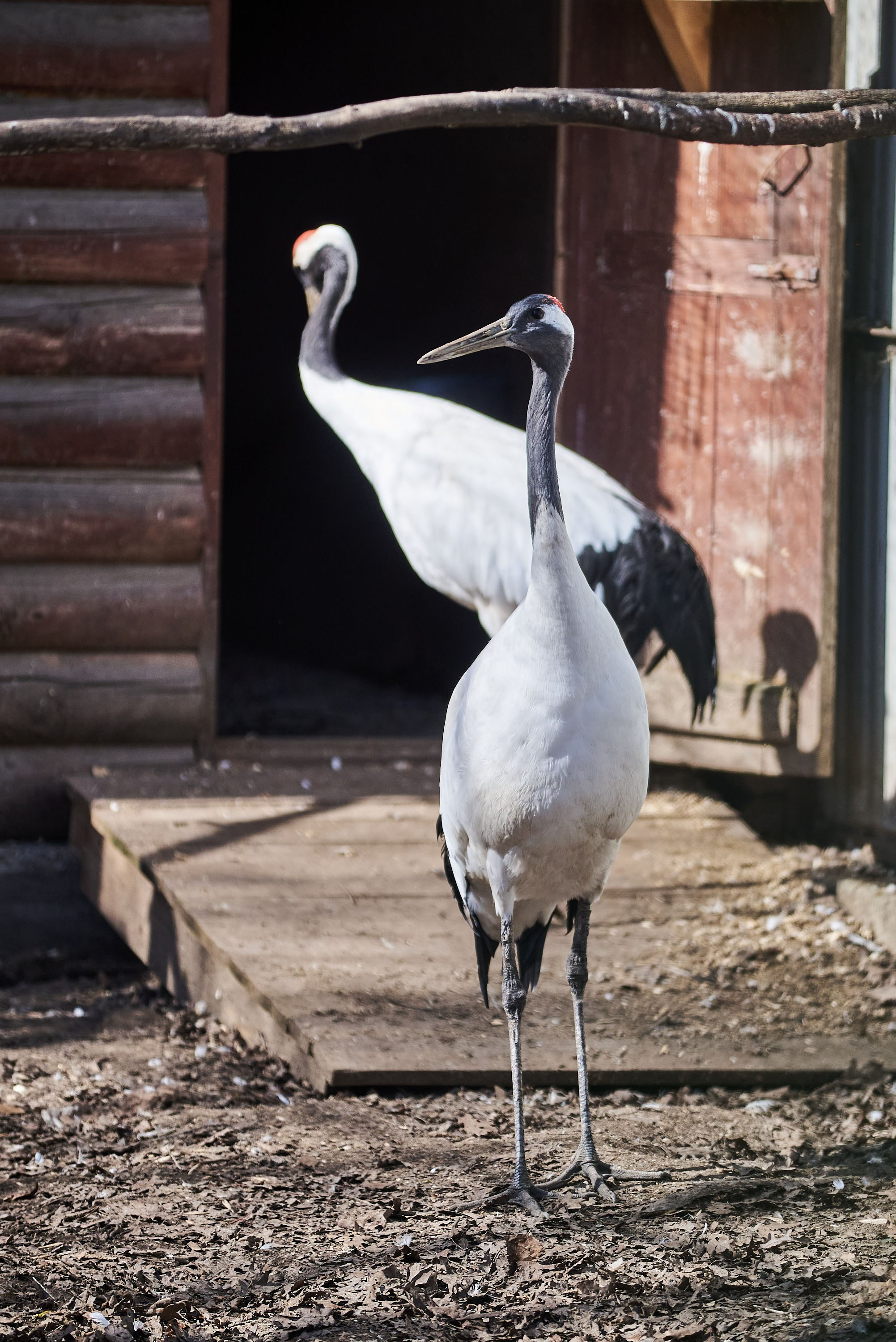 Зоопарк Иваново. Фотограф в Иваново: Каталожная съемка одежды и постельного белья, Wildberries