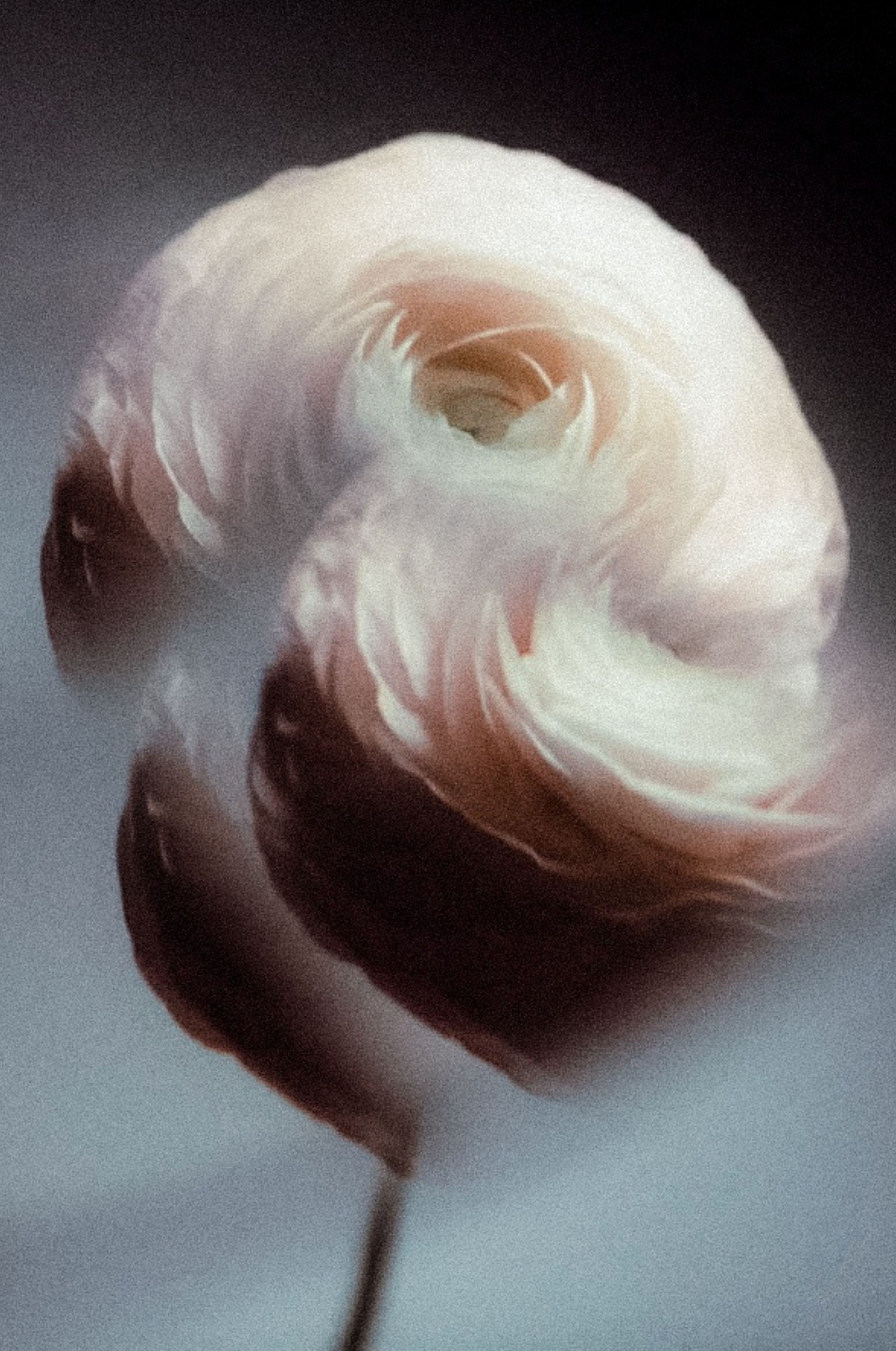 Фотограф в Карелии