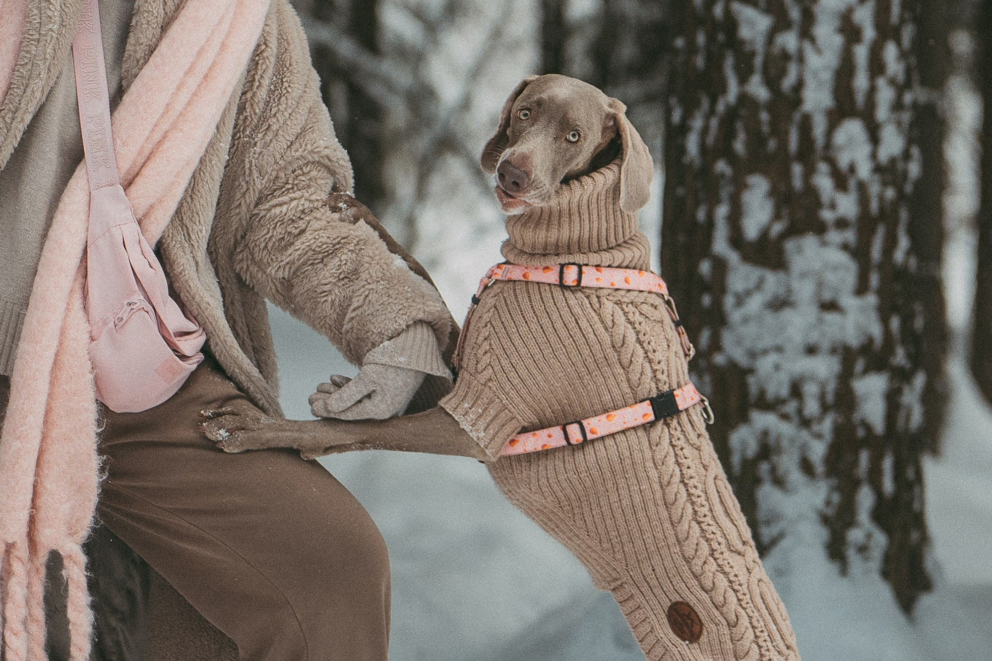 Лена и Фанни. Фотограф анималист в Москве и Санкт-Петербурге Свиридова Анна