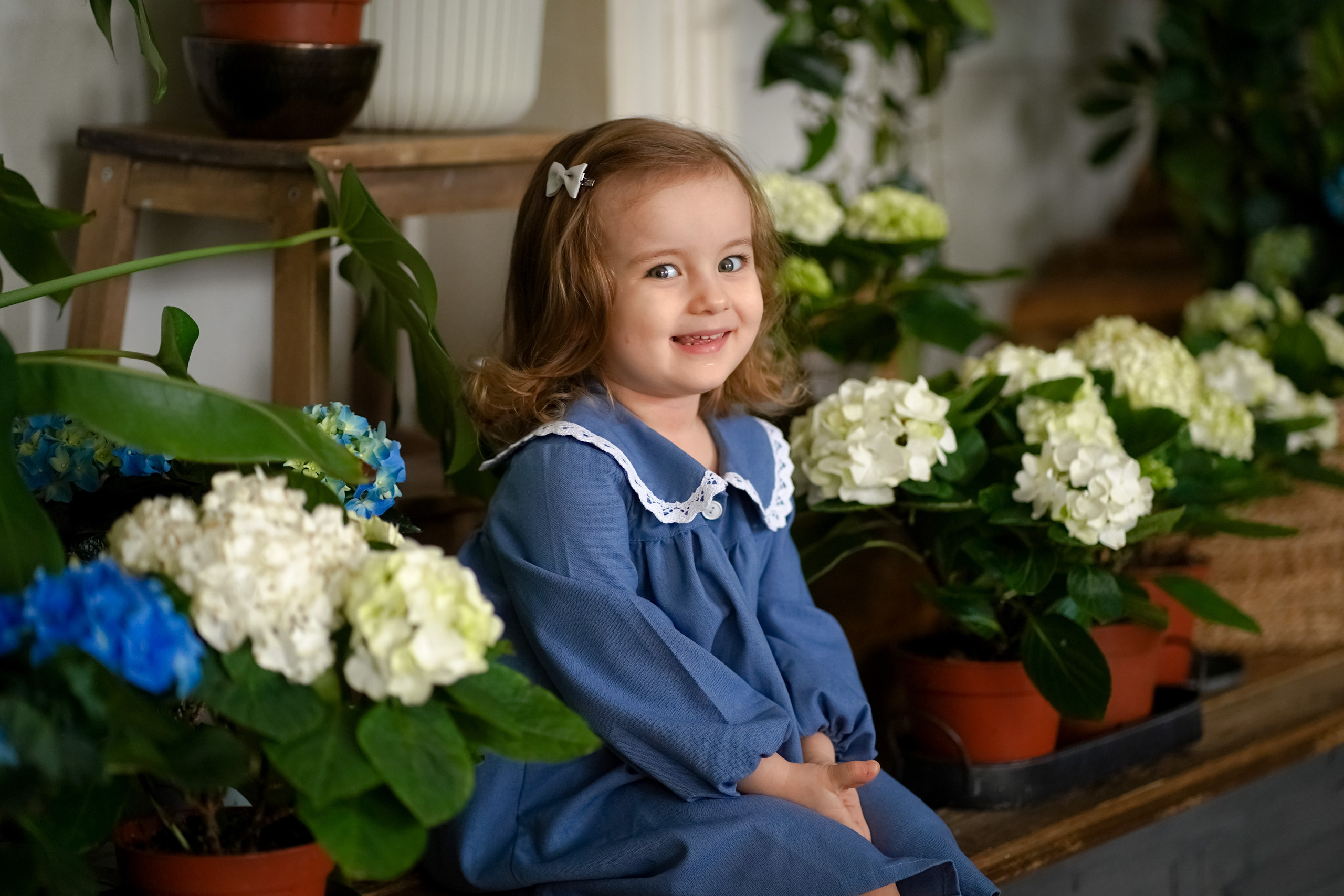 Маленький цветочек. Фотограф Татьяна Митрофанова