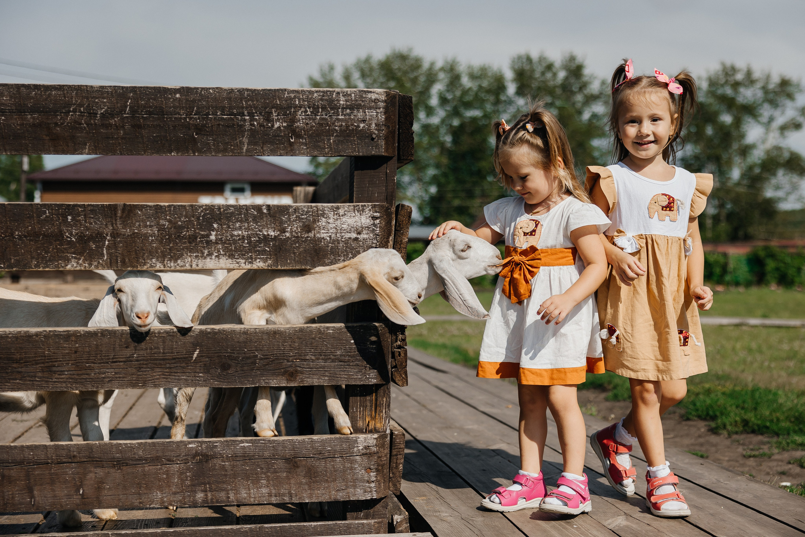 День рождения. Фотограф свадебный семейный в Красноярске Шукшина Наталья