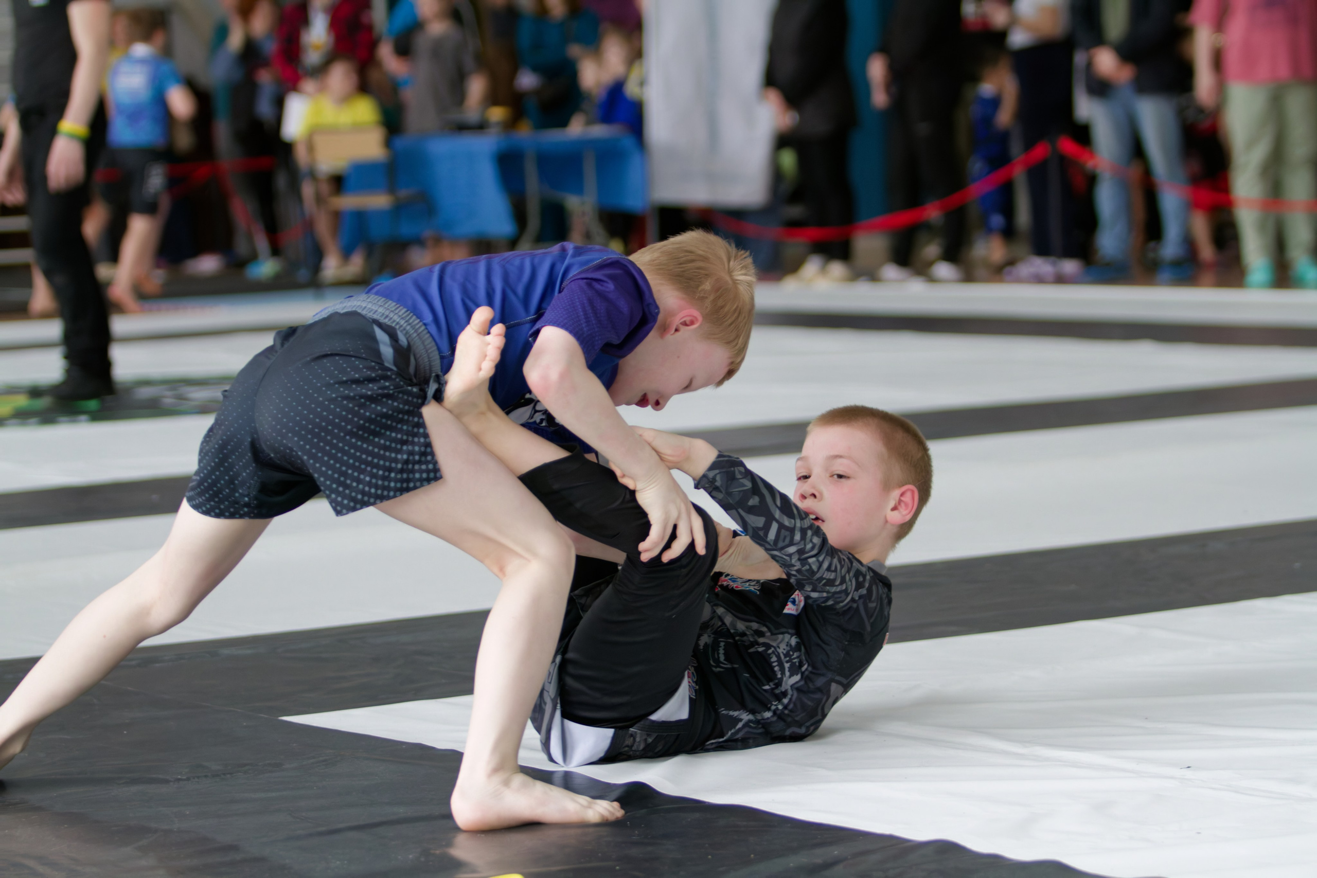 Борьба. Джиу-джитсу 26.04.2025. Репортажный и спортивный фотограф в г. Пермь Зильберг Павел