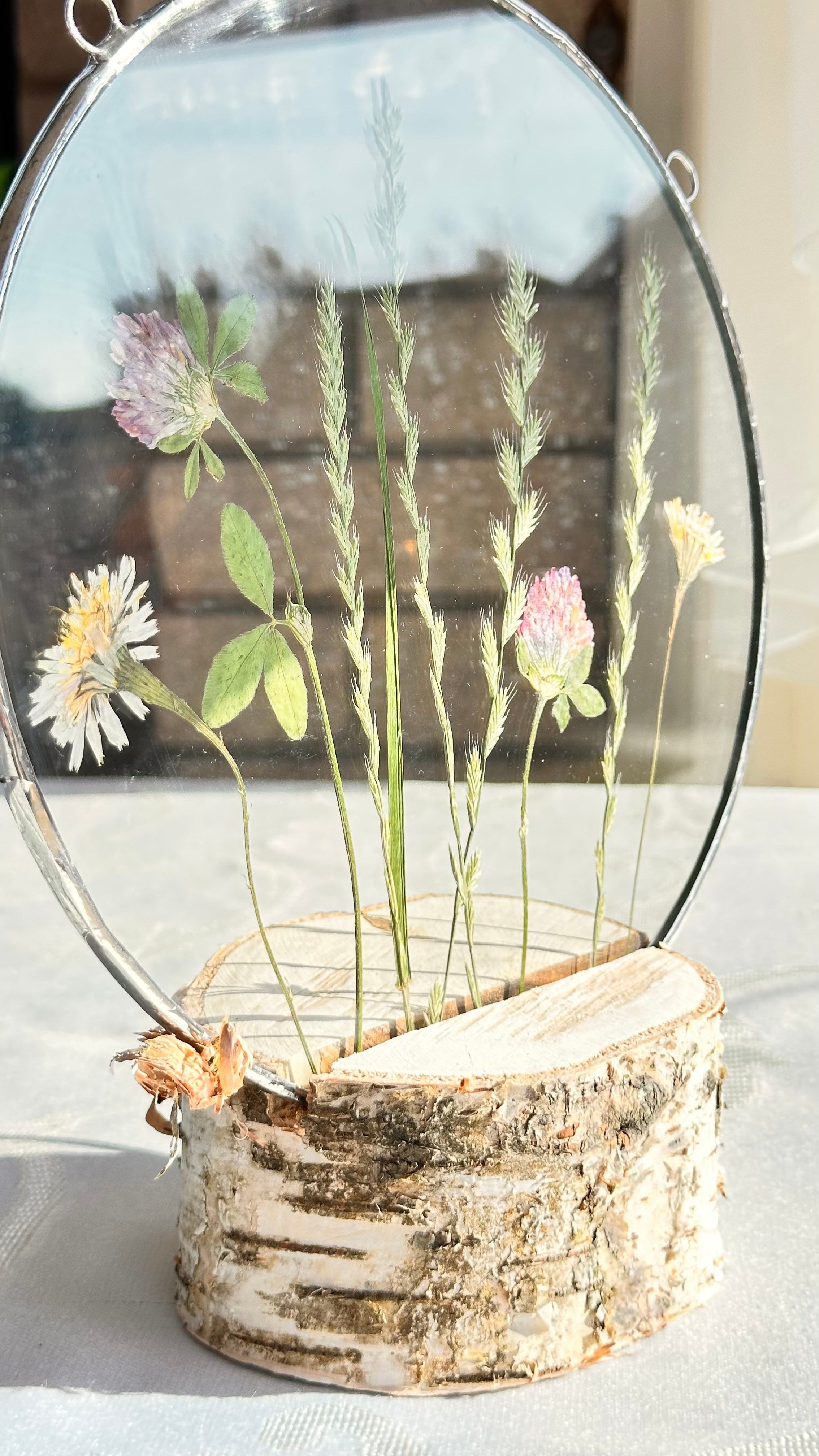 Гербарий полевые цветы витраж техника тиффани. Гербарий в стекле, интерьерные панно, витражи с сухоцветами в технике тиффани