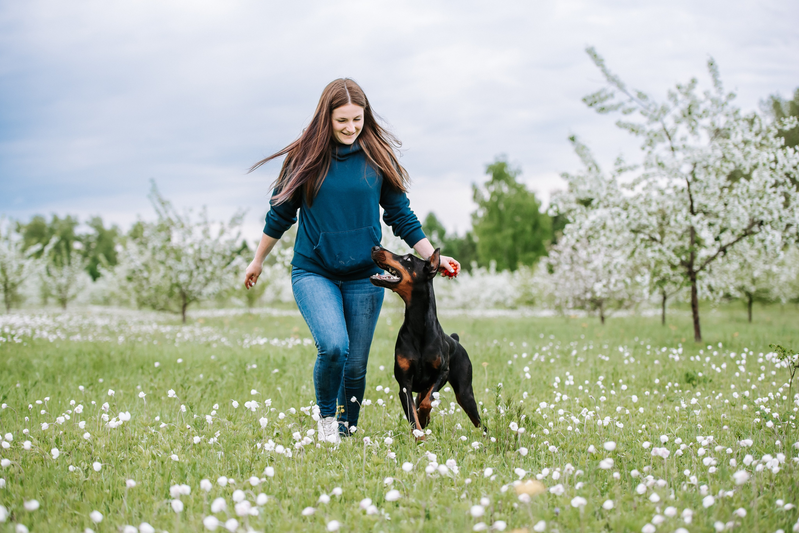 Цветение с доберманами. Фотограф Диана Оленина Красноярск / Братск