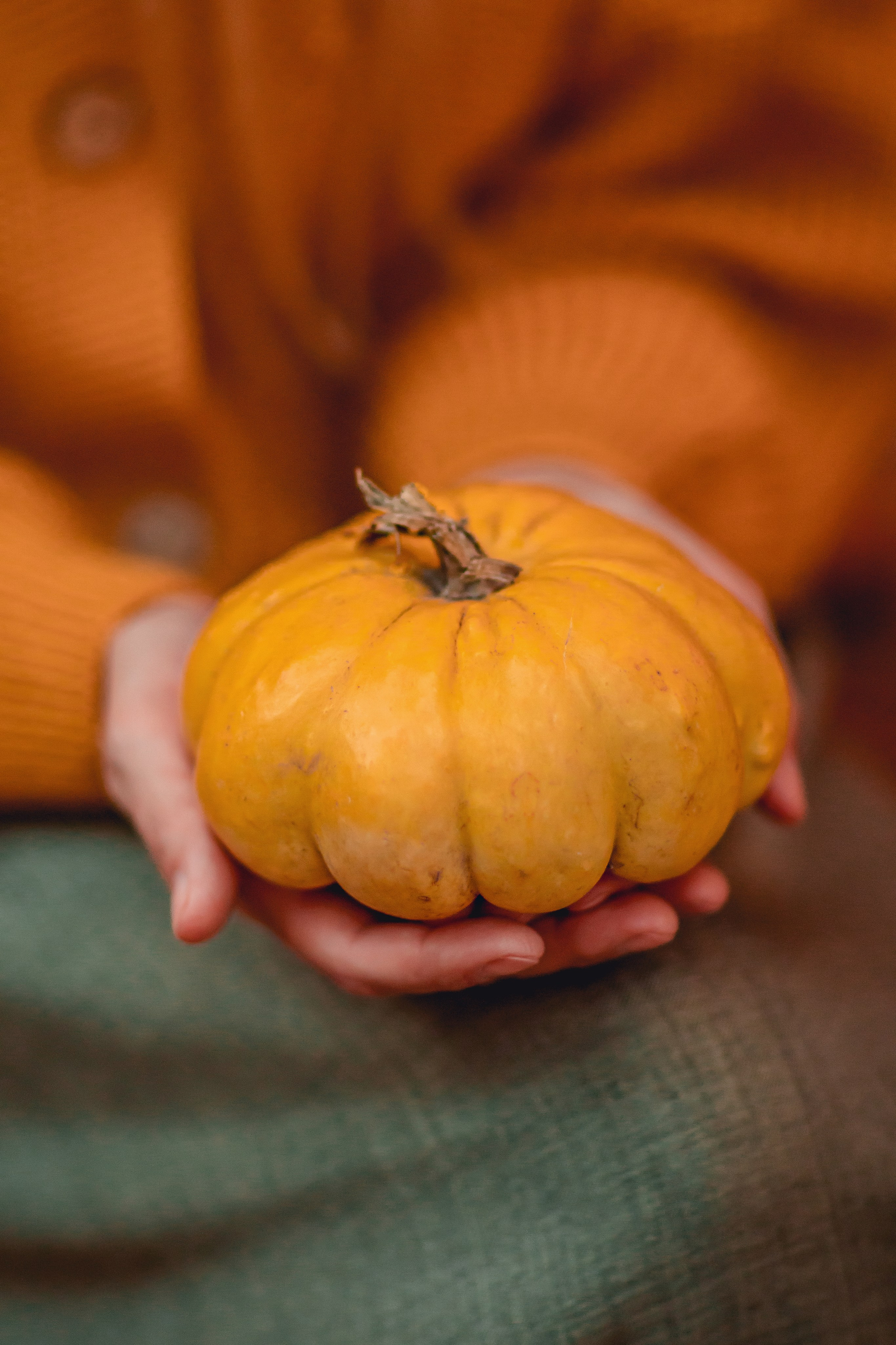 Евгения, Доминика и Дима. Семейный фотограф анималист Мария Крючкова