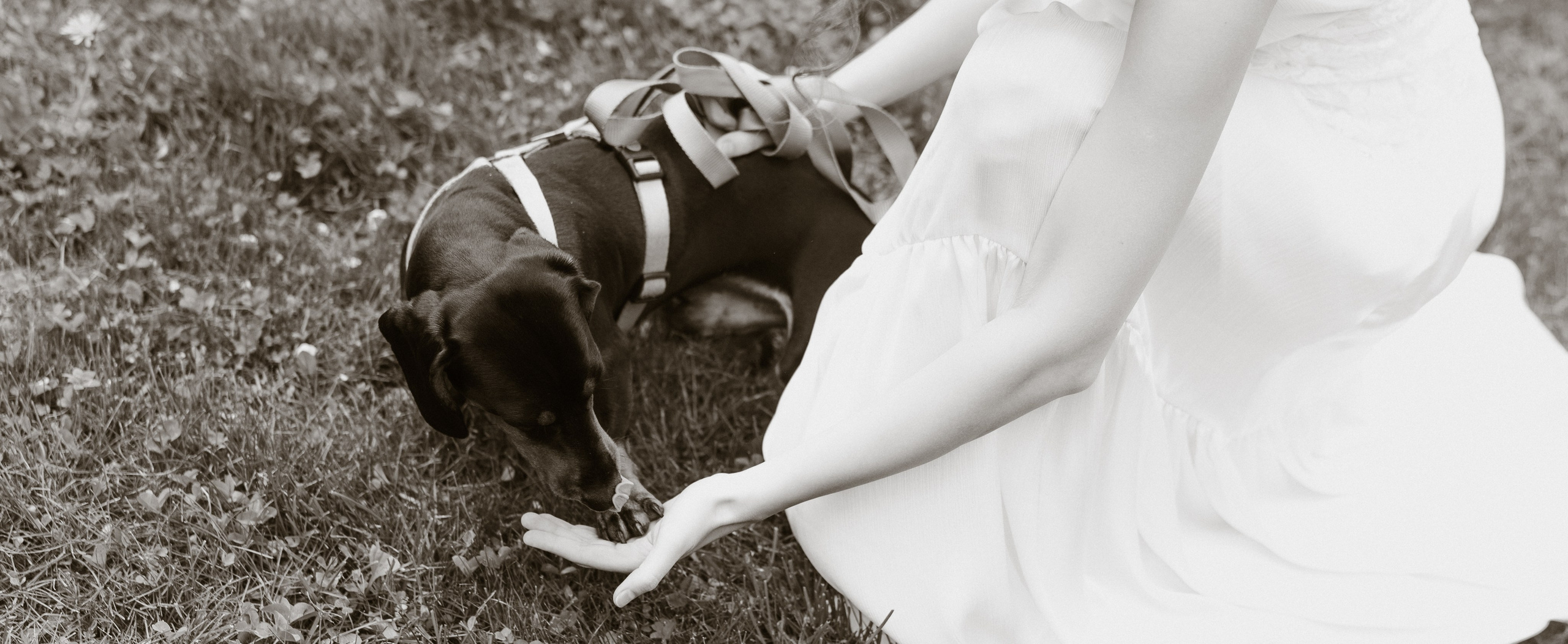 Беременная история в Коломенском. Семейный, ньюборн фотограф, фотограф на роды в Москве, Виктория Тюльдюкова