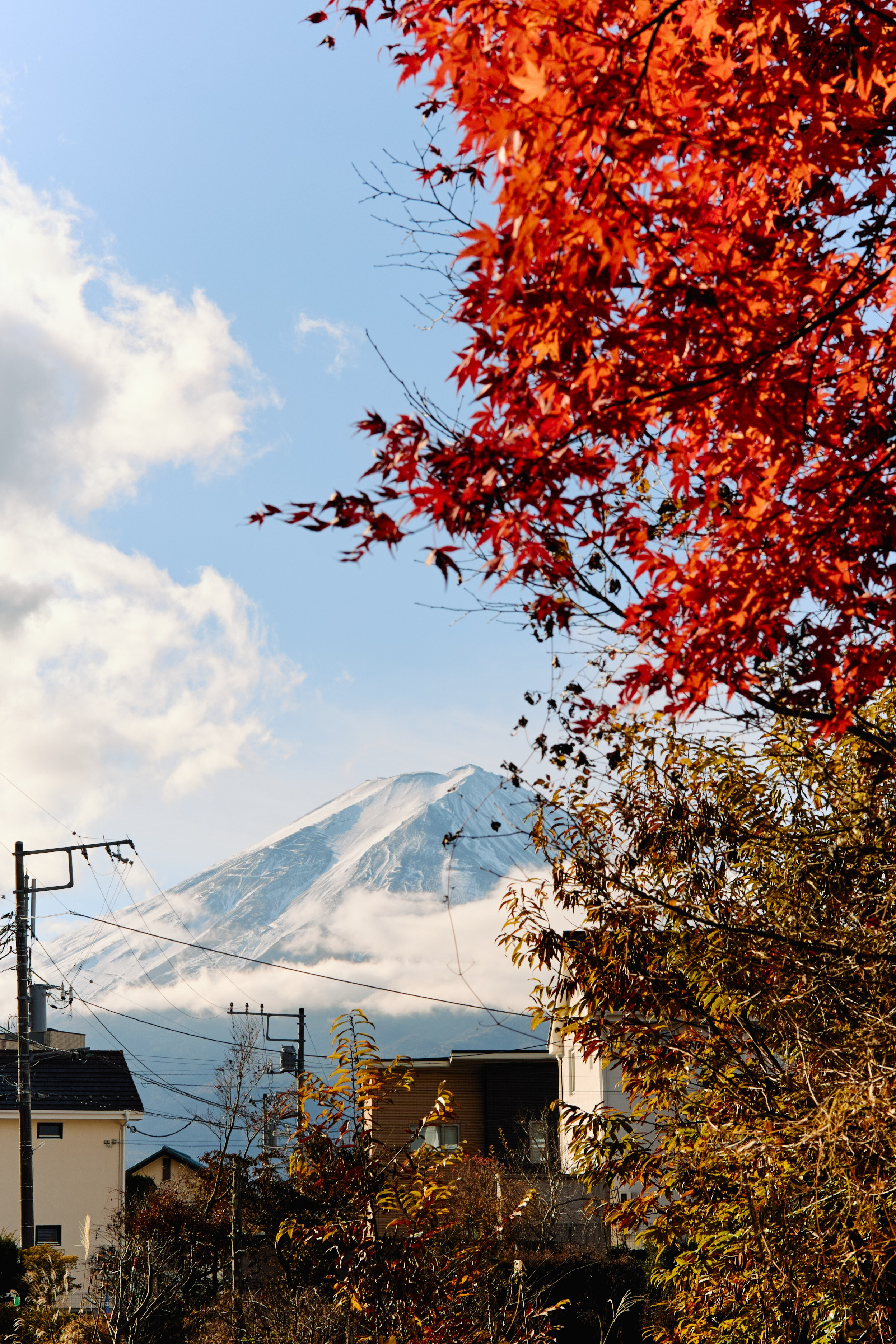 Япония. Профессиональный Фотограф во Владимире, в Москве и в Суздале — Полина Романычева