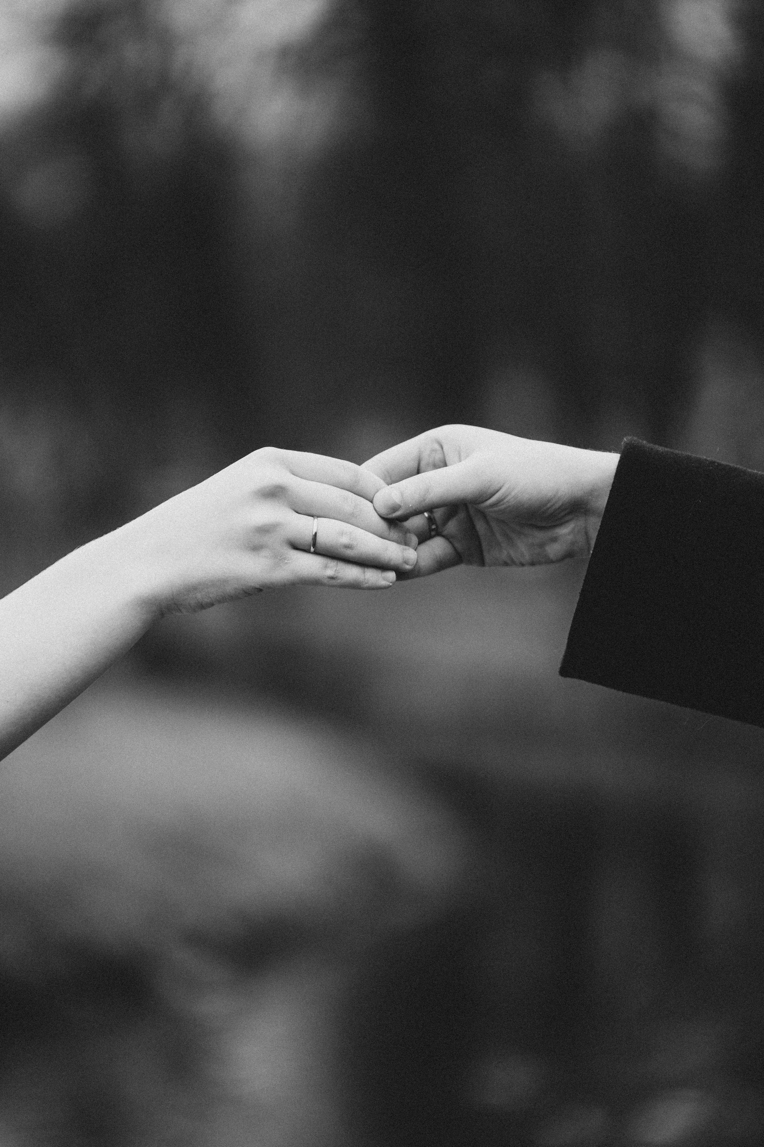 СВАДЕБНАЯ ВО ВТОРОМ ДВОРЦЕ И ПРОГУЛКА В ТАВРИЧЕСКОМ САДУ ЧБ. Профессиональный фотограф, Санкт-Петербург — Виктория Богомолова