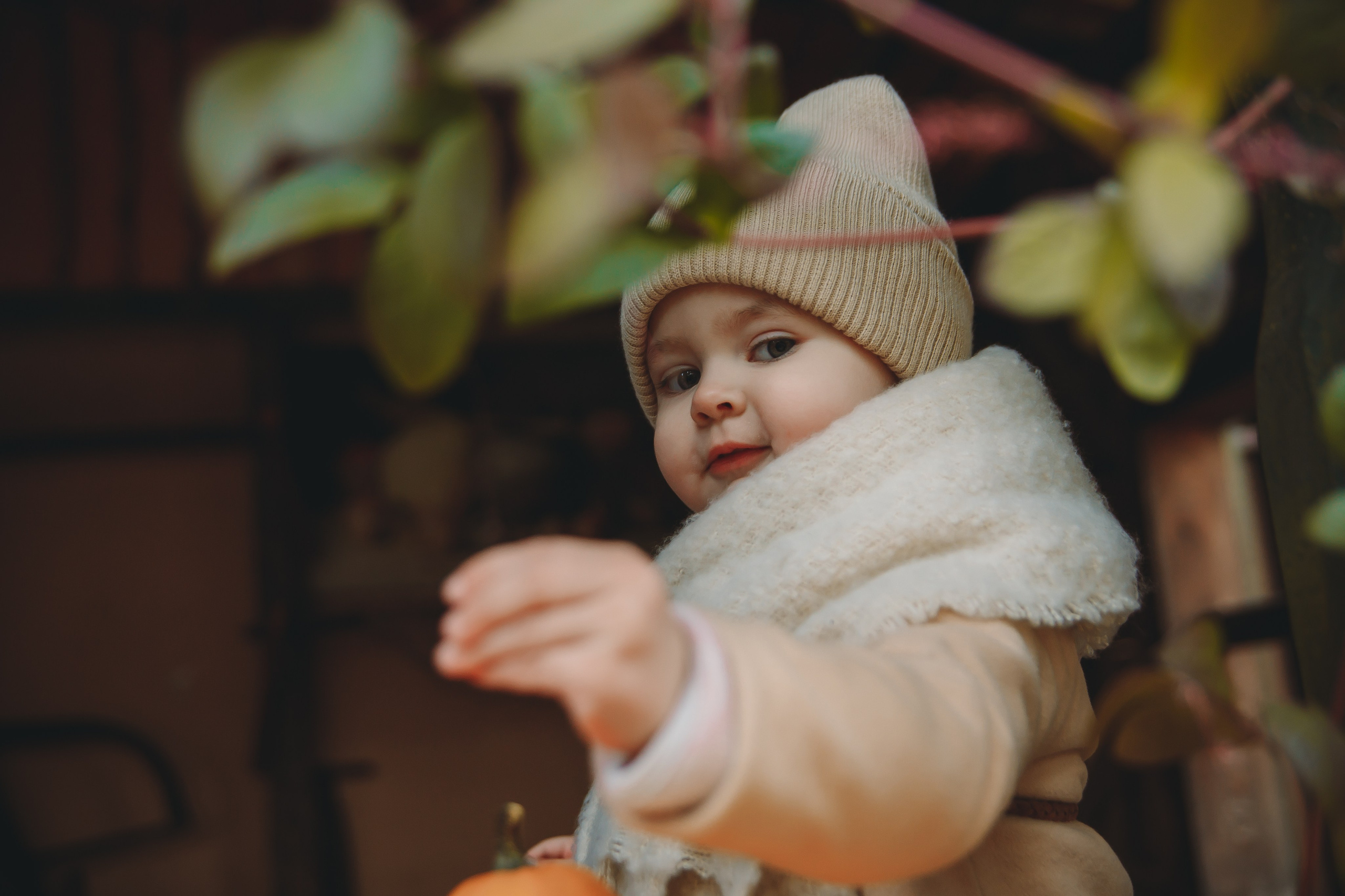 Волшебная осень. Фотограф в Абакане Николай Окунев