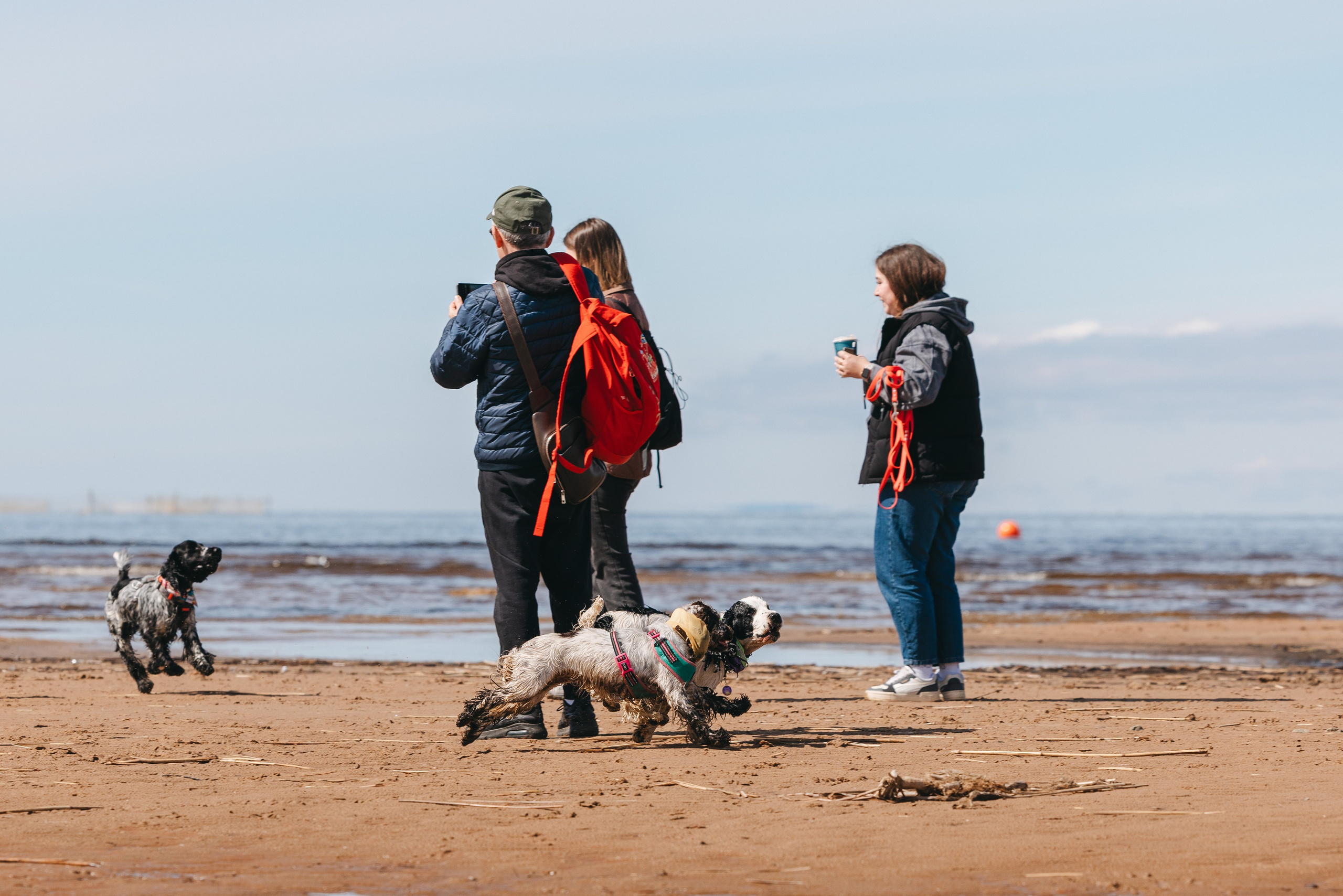 Спанимания. Фотограф анималист Осипчикова Мария