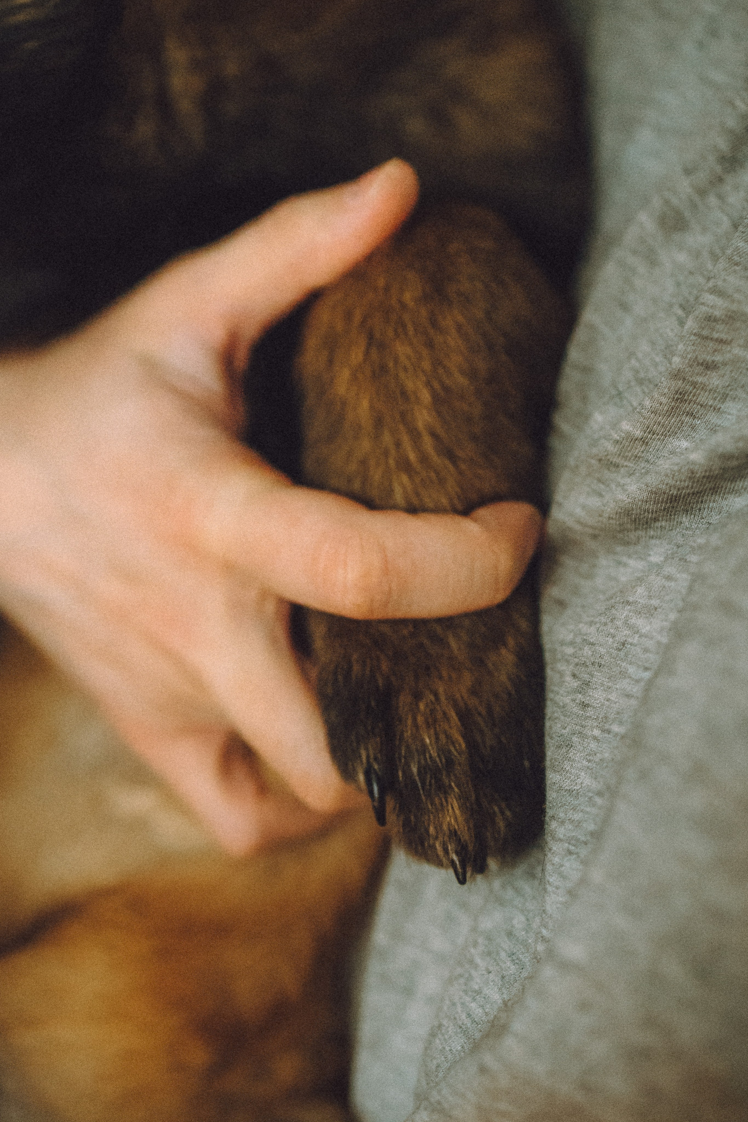 Ира, Андрей, Бэлла и Панда