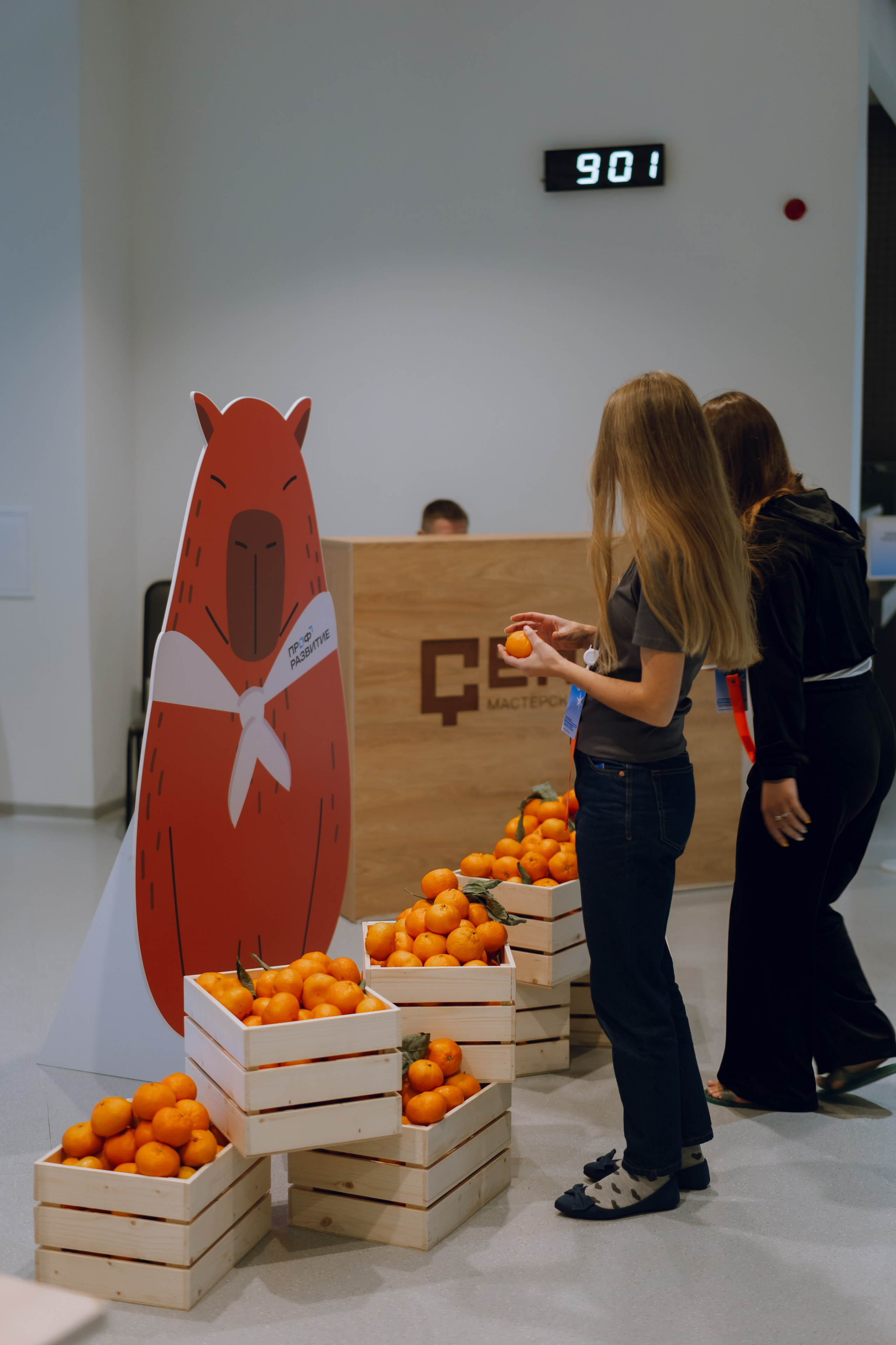 Профразвитие 1 декабря. Фотограф Надежда Погребняк | Рязань | Москва