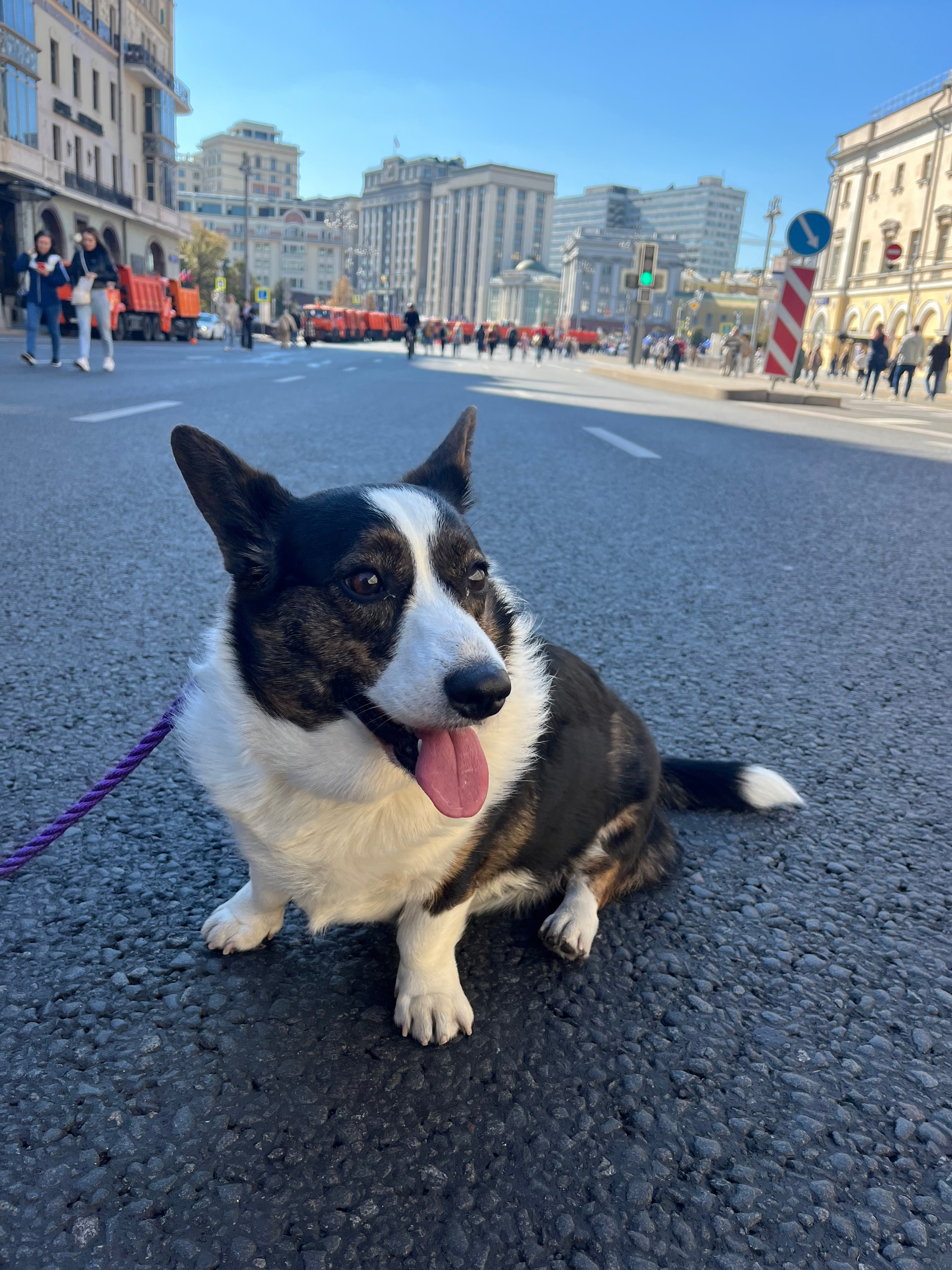 Мика. DEWA | фотостудия для маркетплейсов