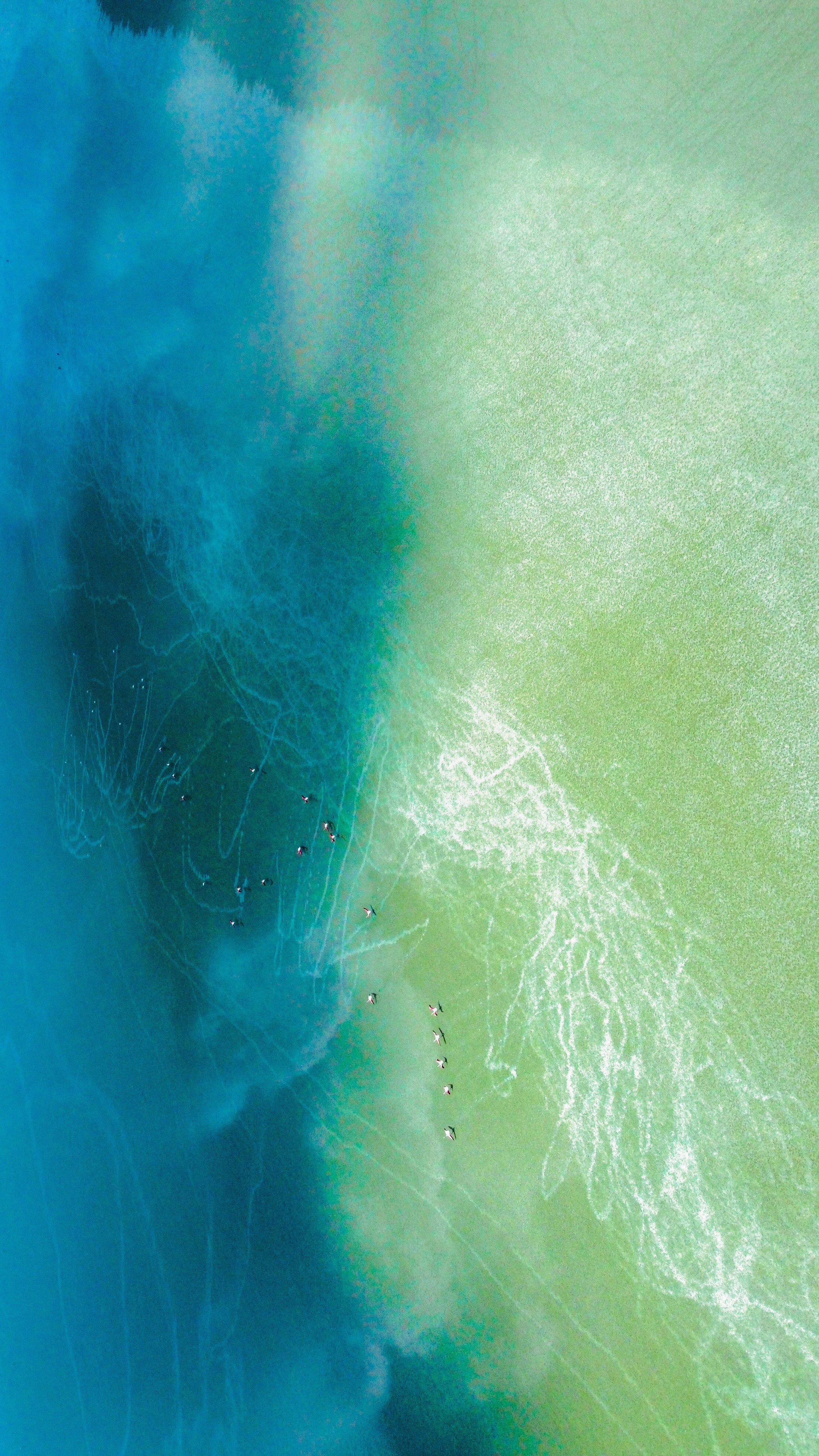 Дрон. Стрит и Арт Фотограф Москва-Анталия-Стамбул. Постановочные фотографии в любом жанре, в неповторимых образах