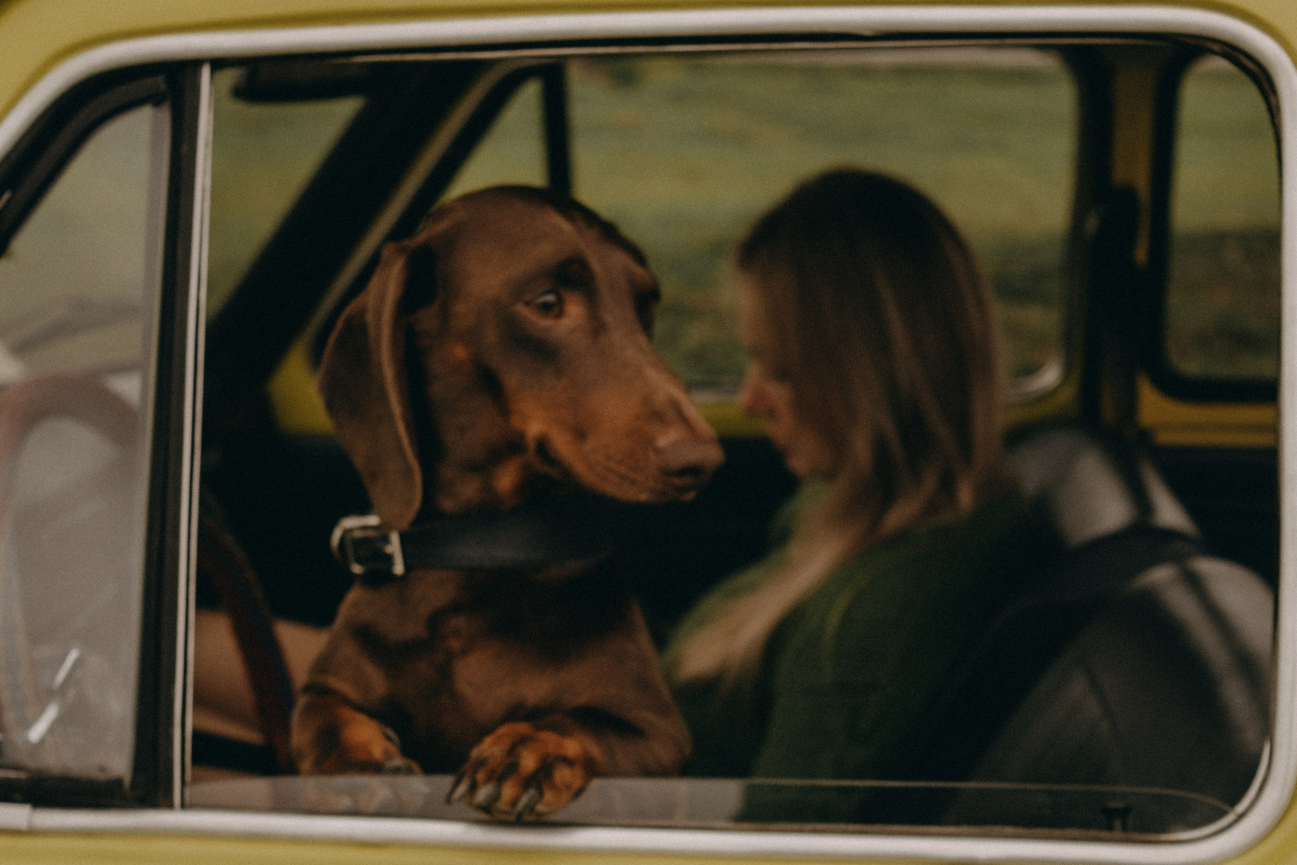 Катя и Роман. Семейный фотограф в Санкт-Петербурге Дарья Косянчук