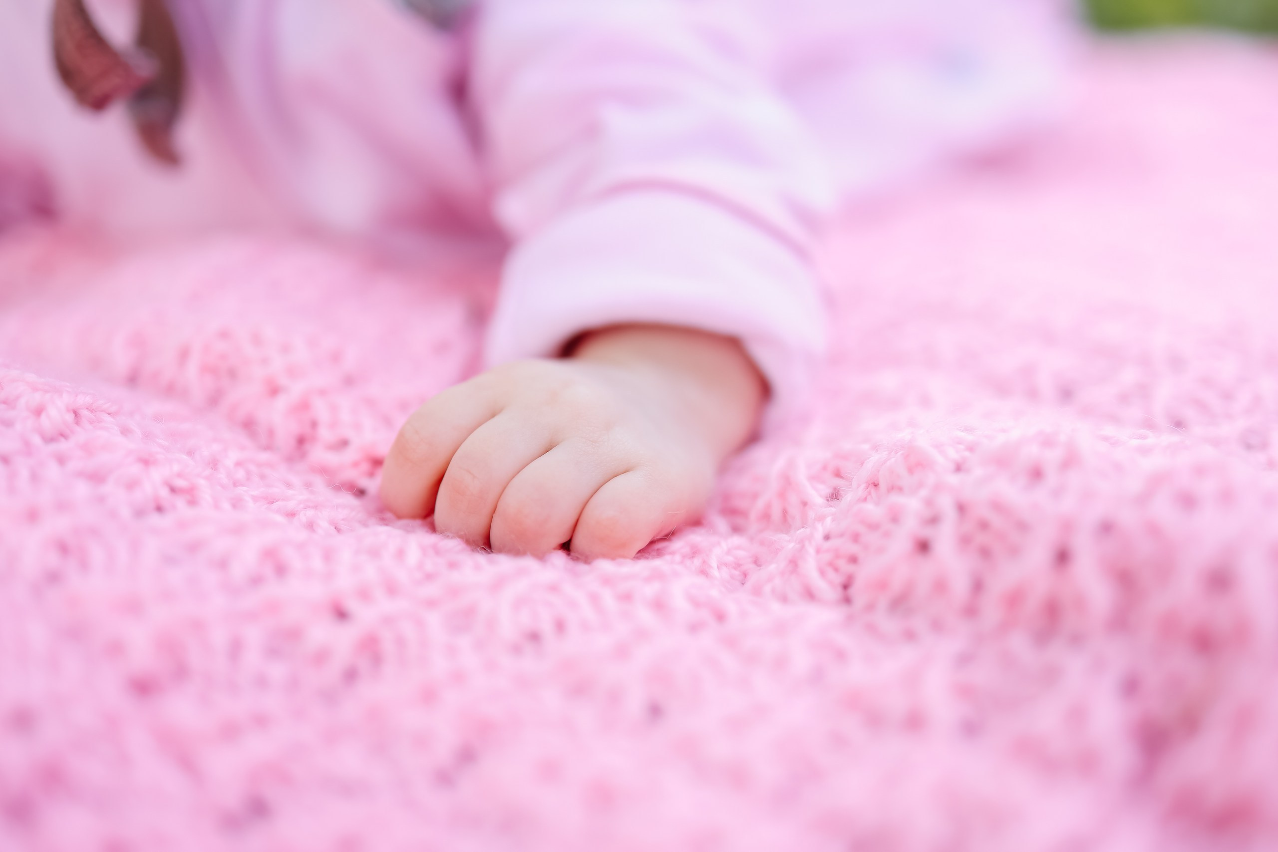 алёна малахова фотограф новосибирск семейный детский домашняя фотосессия в новосибирске день рождения репортажная съёмка фотосессия с лошадьми на конюшне деревня алтай  на природе фотосессия в детском саду