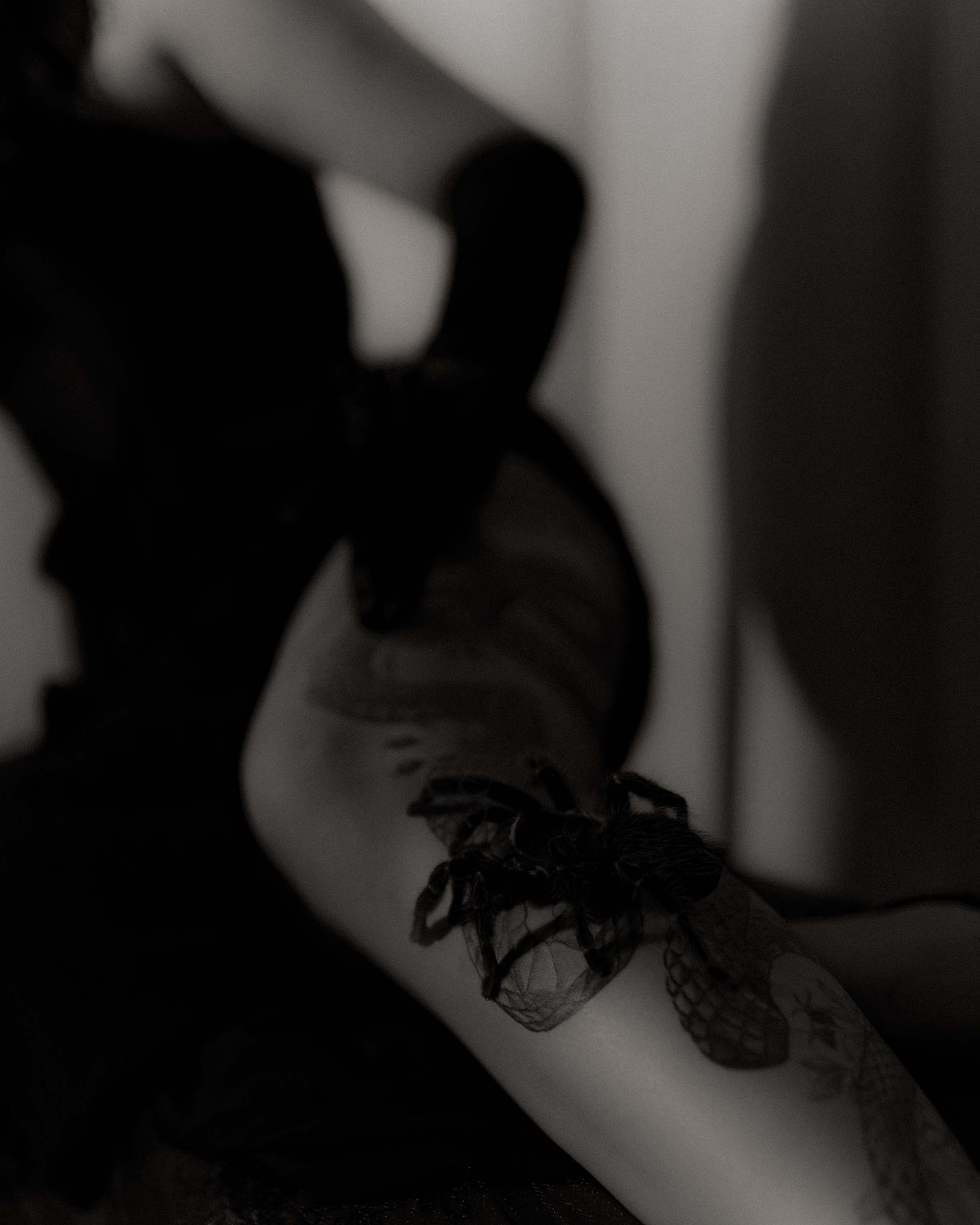 Алина. DARYA.BELKINA