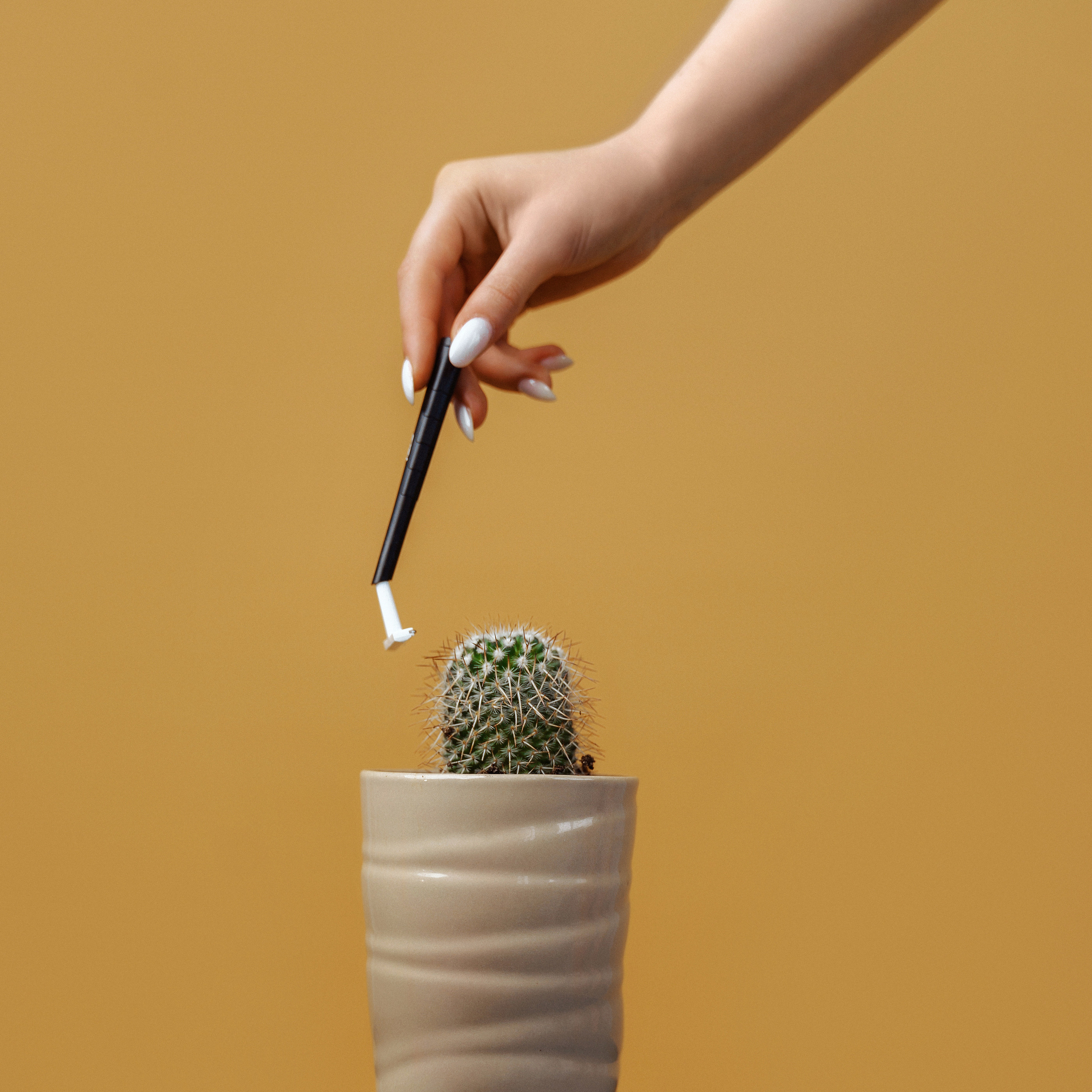 КОНТЕНТ. Юрий Демидов | Портретный фотограф | Тверь | Москва