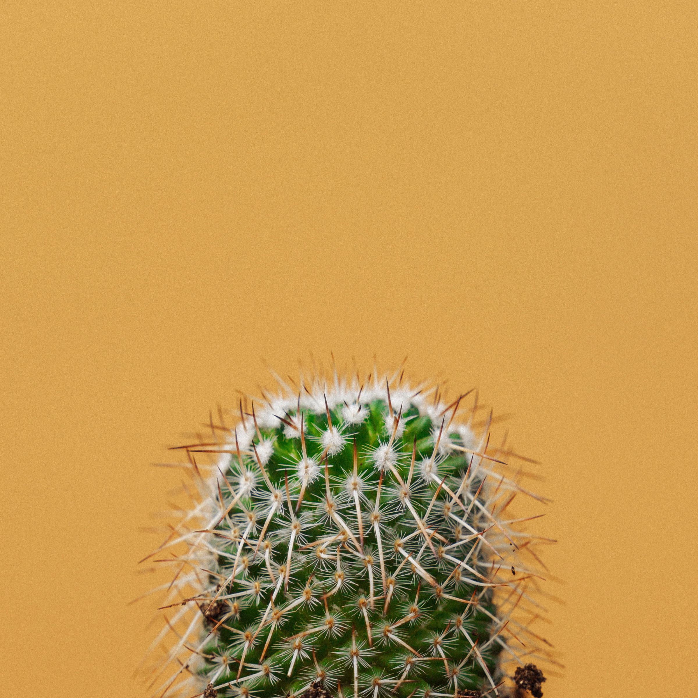 КОНТЕНТ. Юрий Демидов | Портретный фотограф | Тверь | Москва