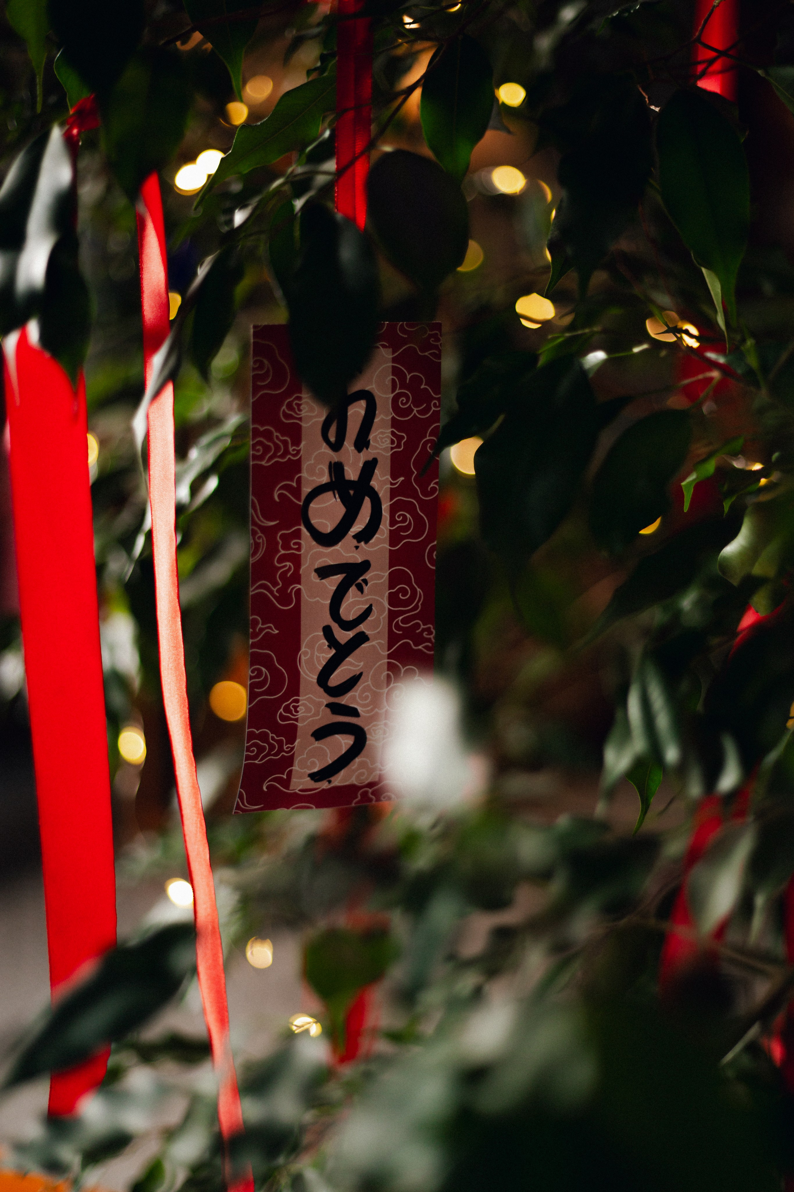 Контент. Фотограф Батурин Илья г. Красноярск