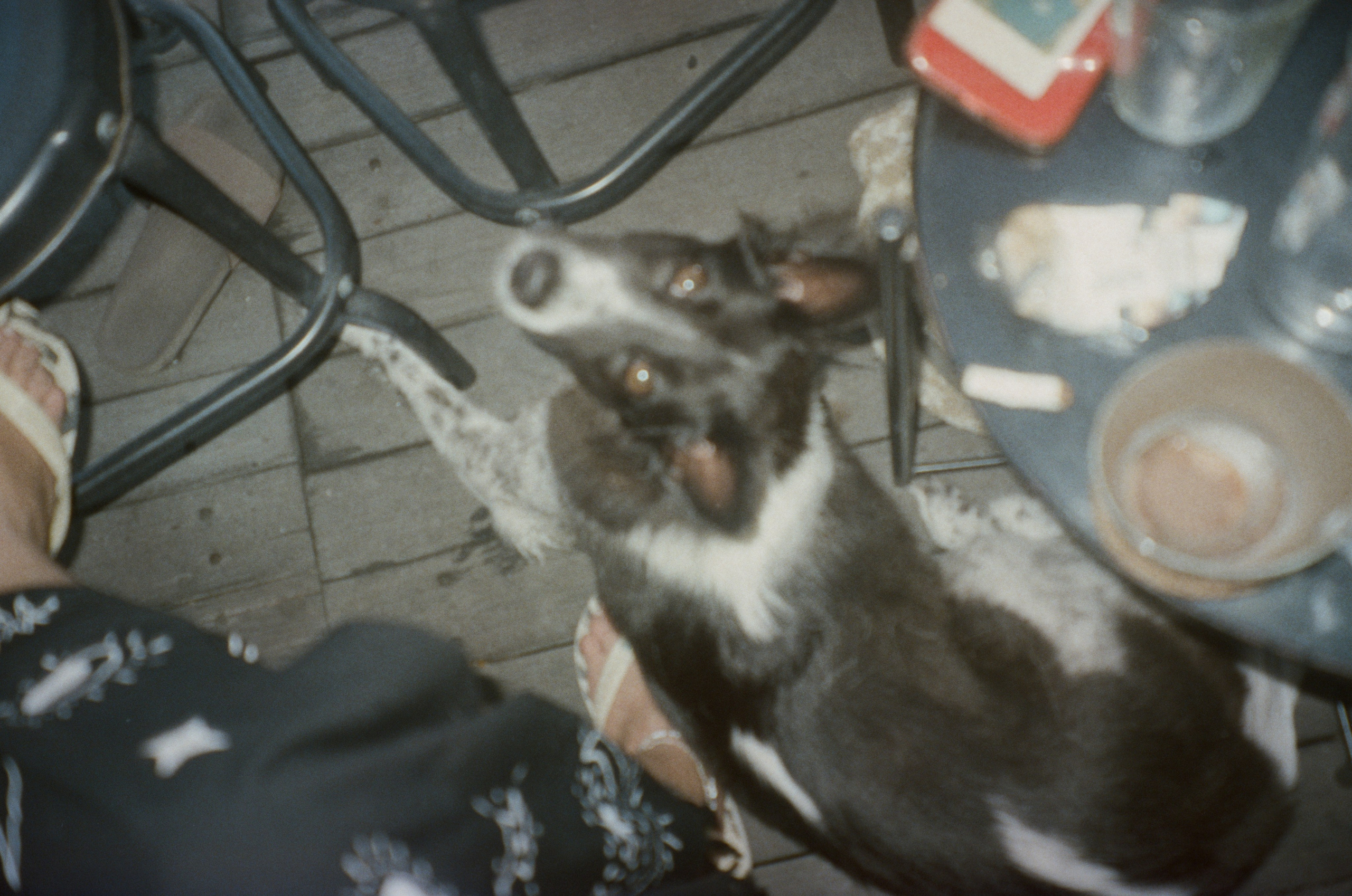 Who u are?. Carolinetru