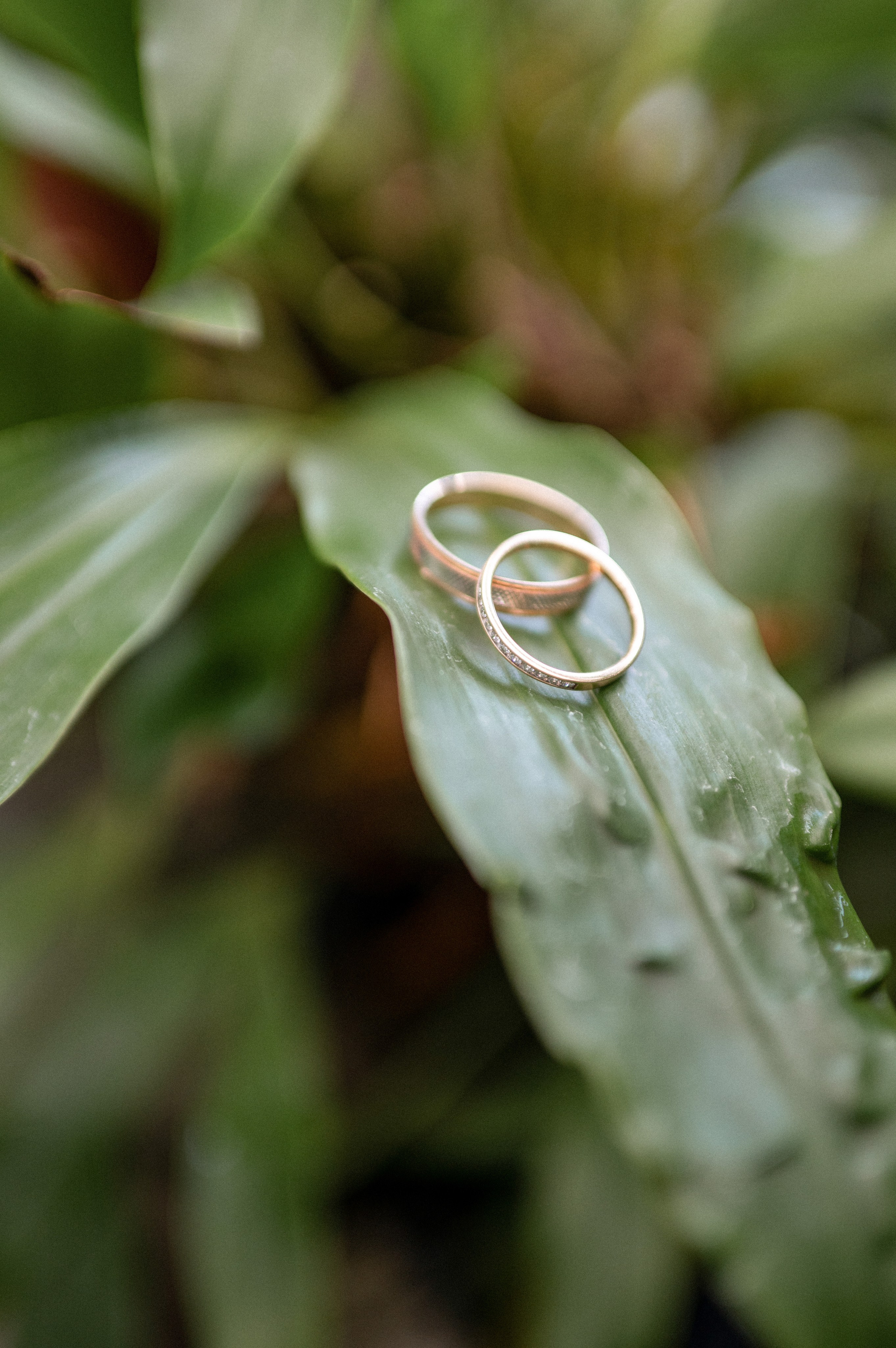 Маша & Данил. Фотограф в Москве Екатерина Солнцева