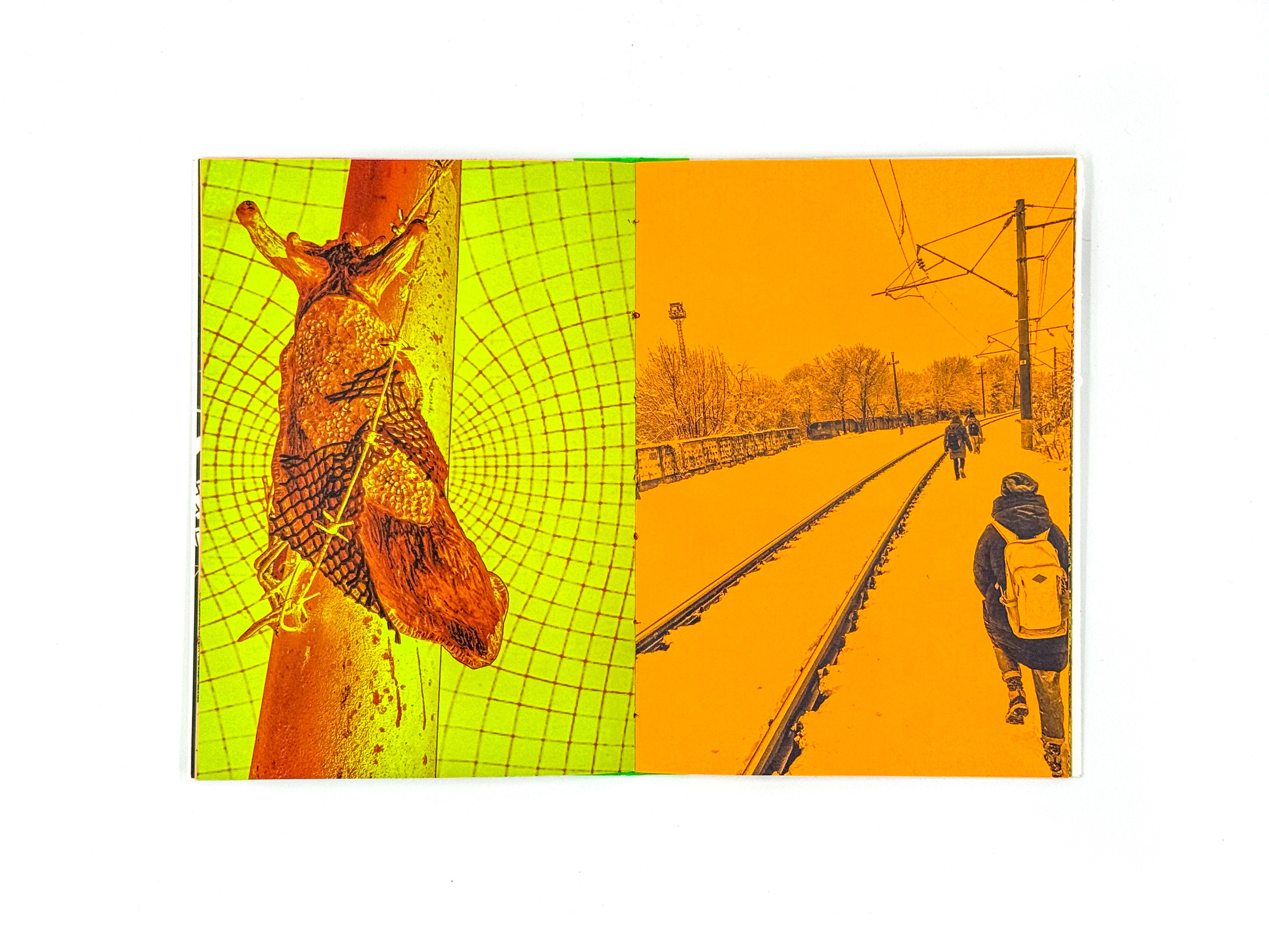 Экспедиция № 7. Лера Круглова