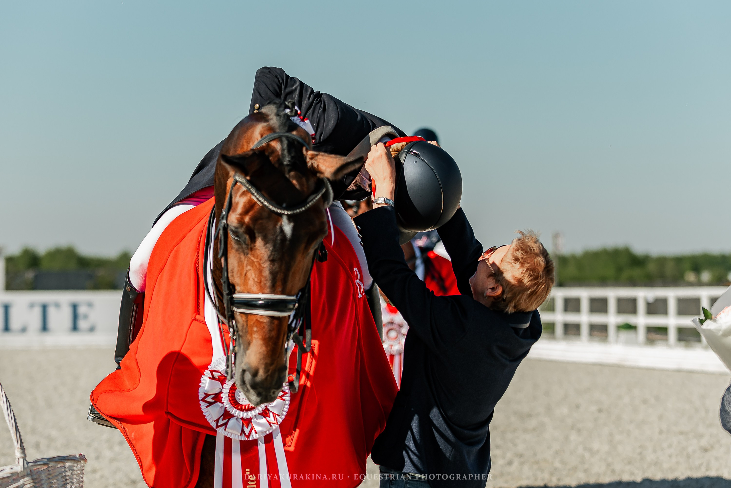 РЕПОРТАЖ МКК ВОЛЬТ «LA TULIPS». Конный фотограф Куракина Дарья • Фотосессии с лошадьми