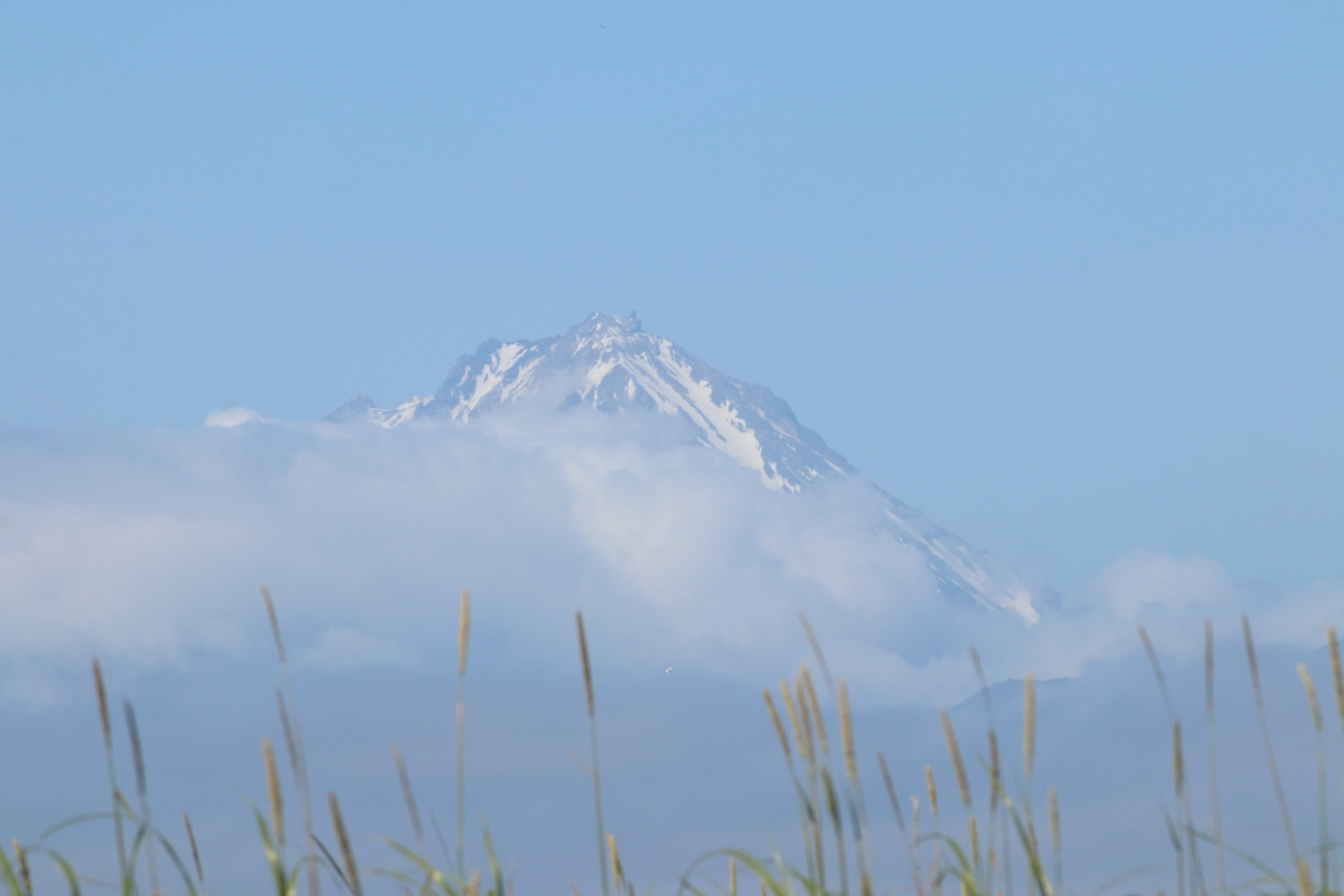 Камчатка и о. Парамушир. Июль 2024. Путешественник-фотограф из Санкт-Петербурга Татьяна Свистулина
