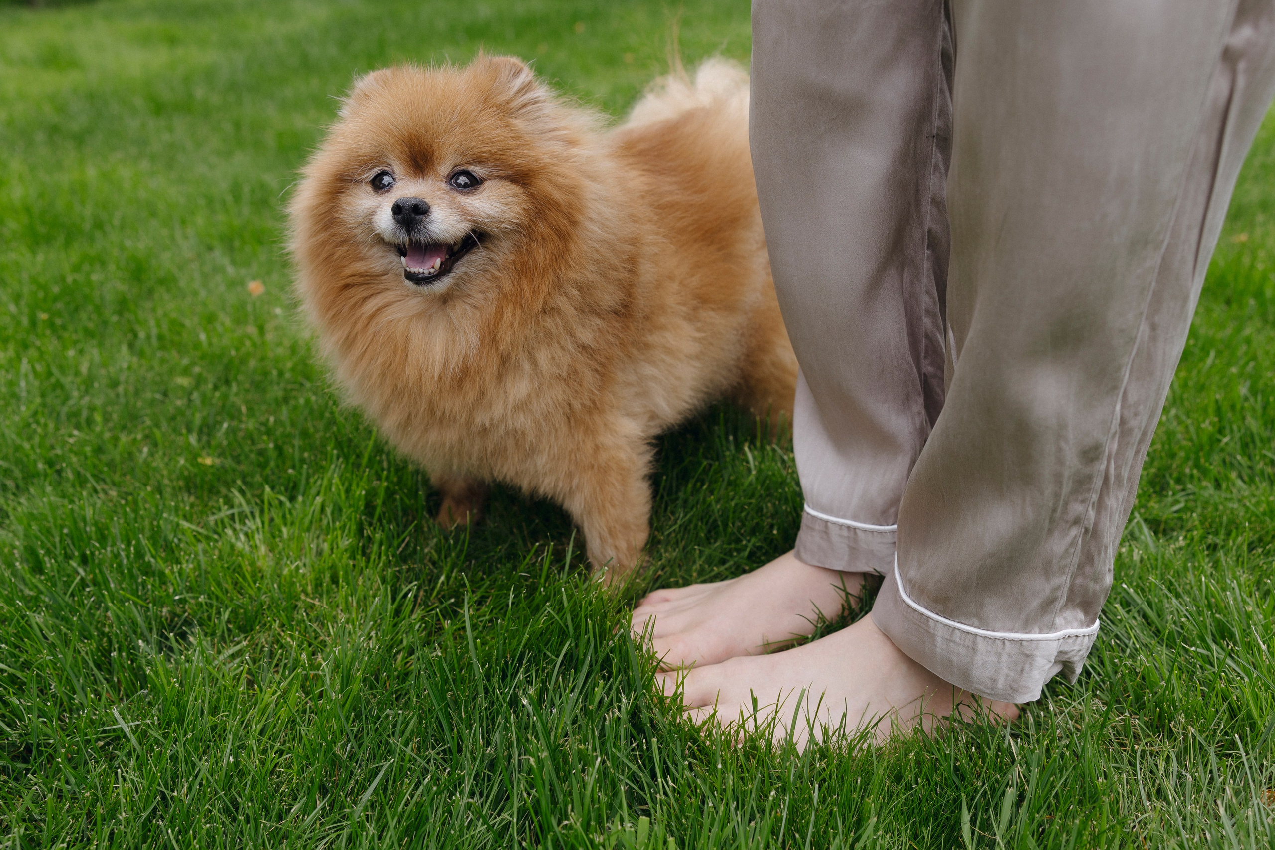 Михаил и Анна. Свадебный фотограф Курск Максим Ноздрачев