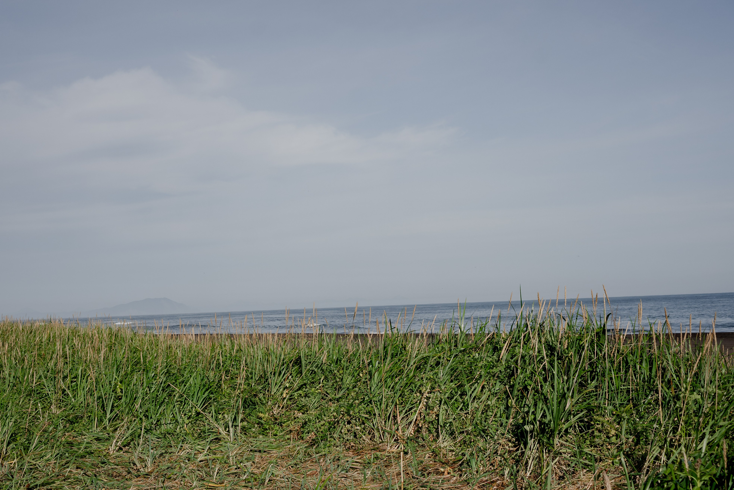 Мыс Маячный на Камчатке. Профессиональный фотограф, Санкт-Петербург — Виктория Богомолова