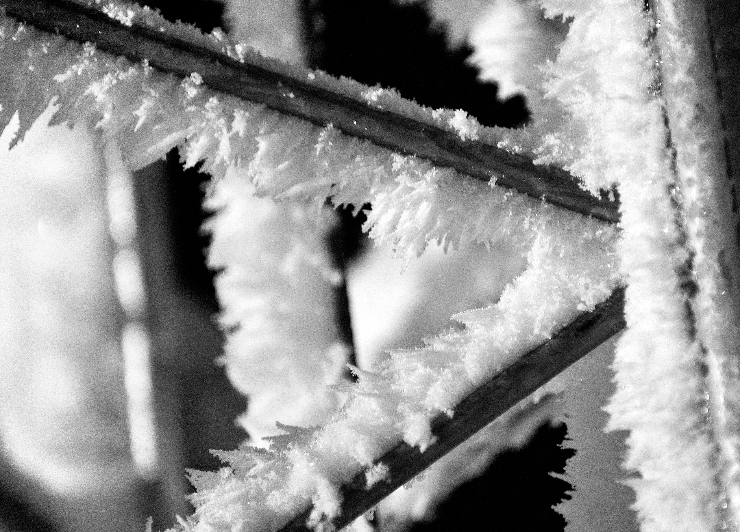 Зима. Пейзажный и предметный фотограф в Санкт-Петербурге Александр Богданов