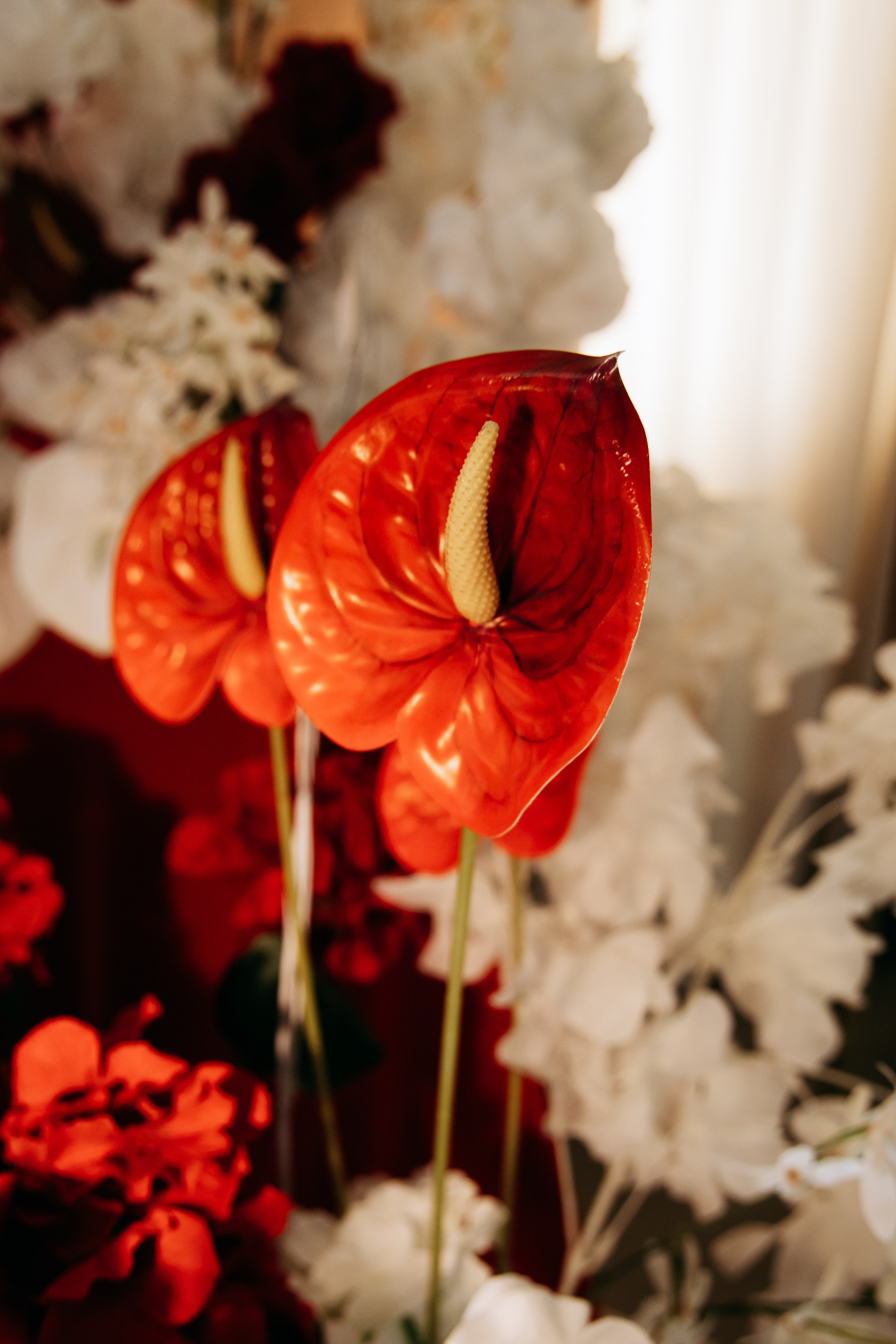 Ерлан и Сабина. Фотограф в Омске Валерия Крячко