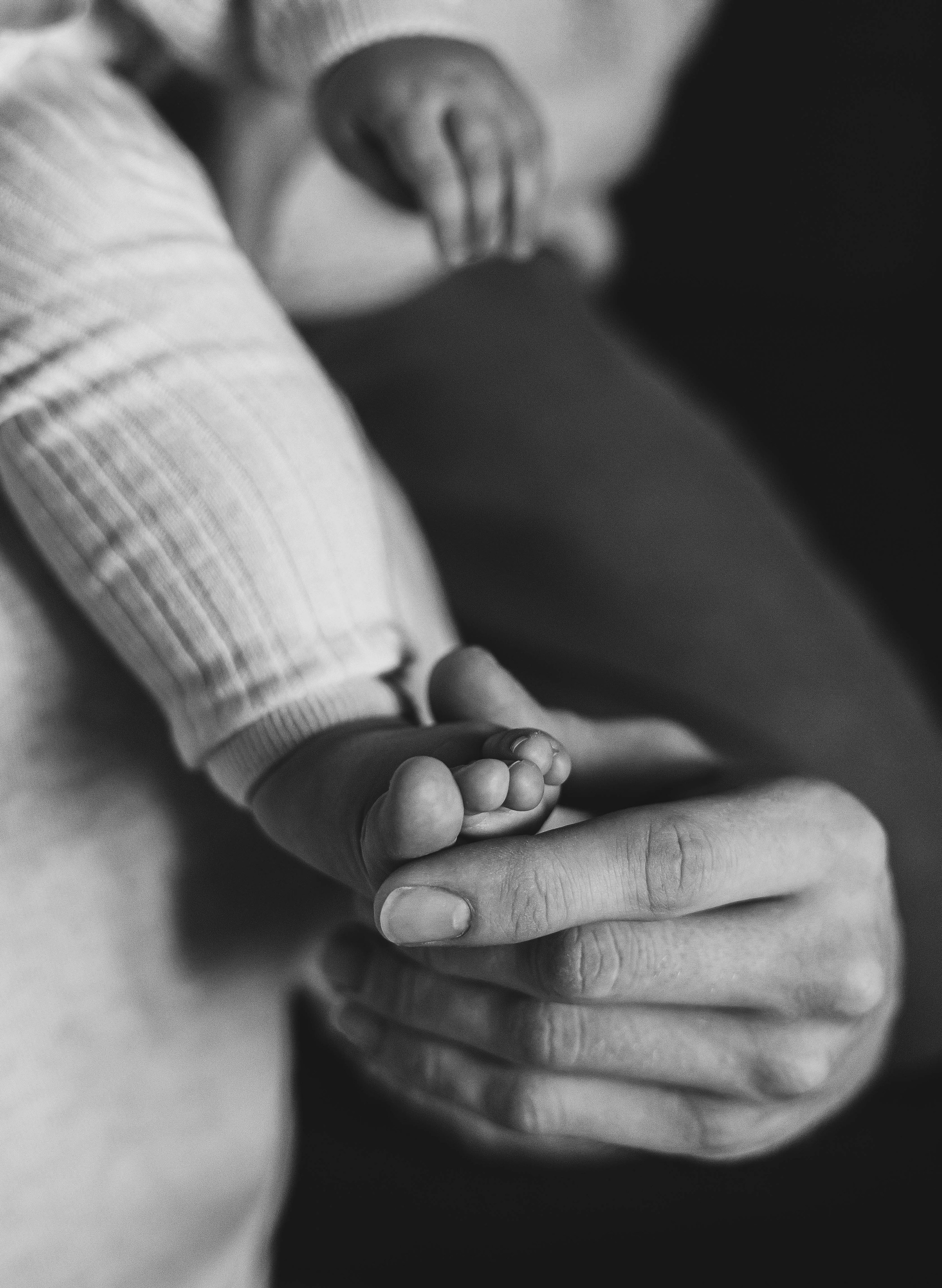 Семья Налетовых. Главная