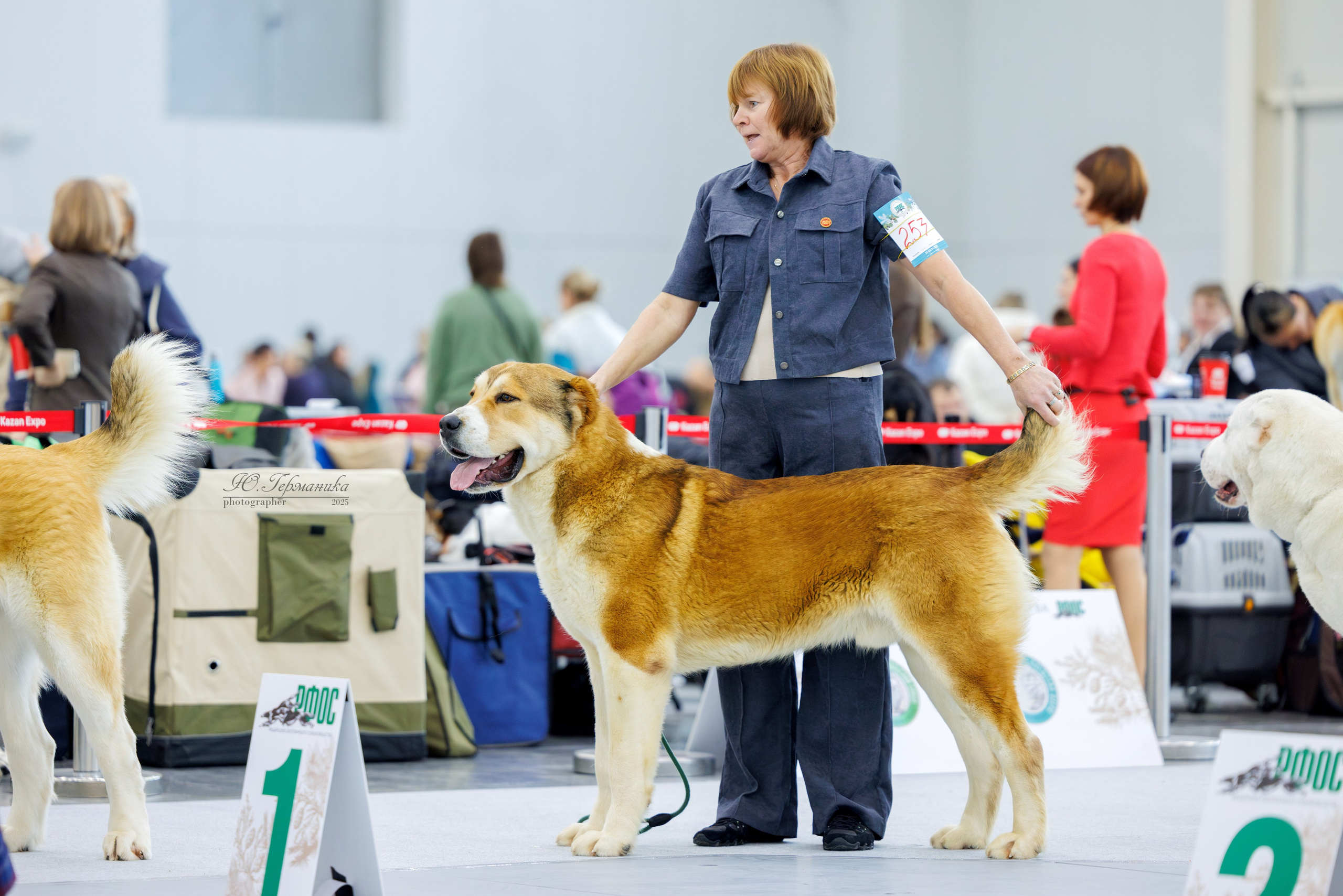 Сабанеевка Казань 25-26.01.2025. Фотограф-анималист Юлия Германика