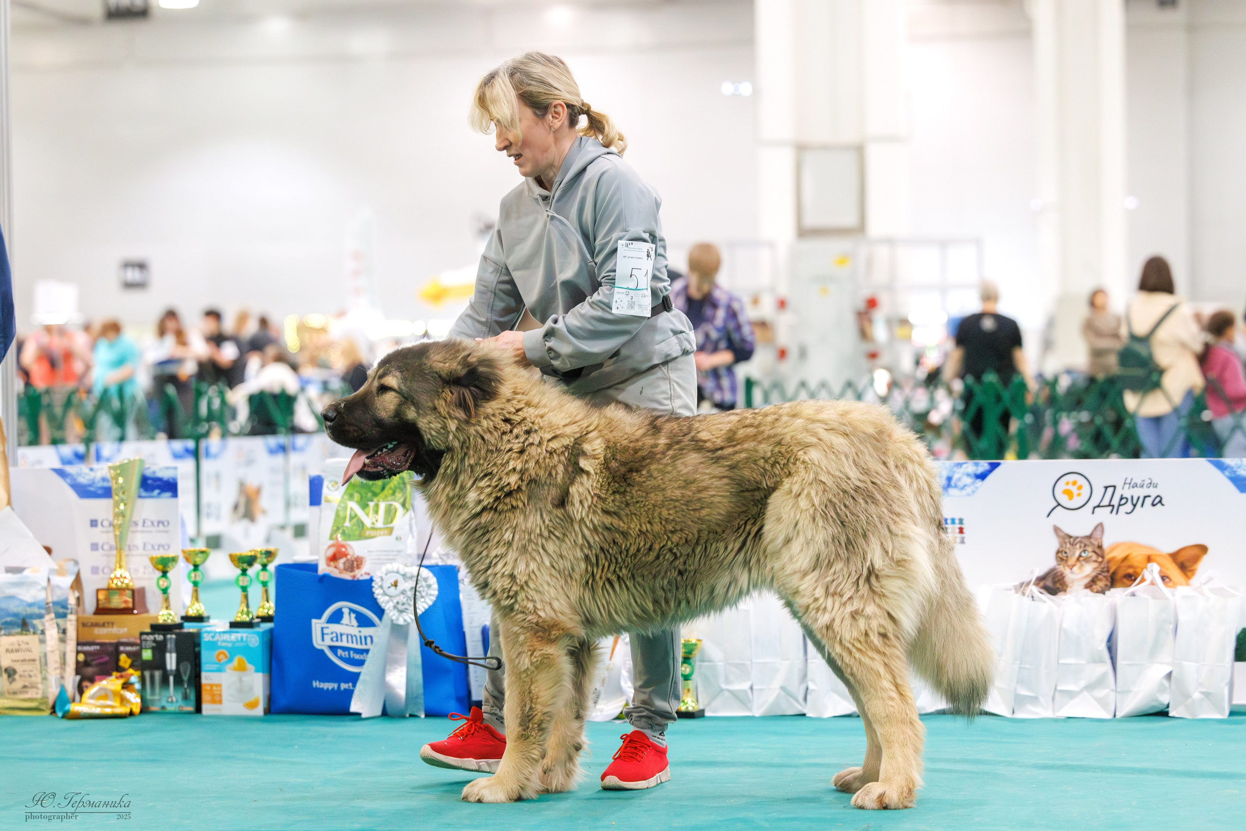 Гран-При 8.02.2025 и Крокус 09.02.2025. Фотограф-анималист Юлия Германика