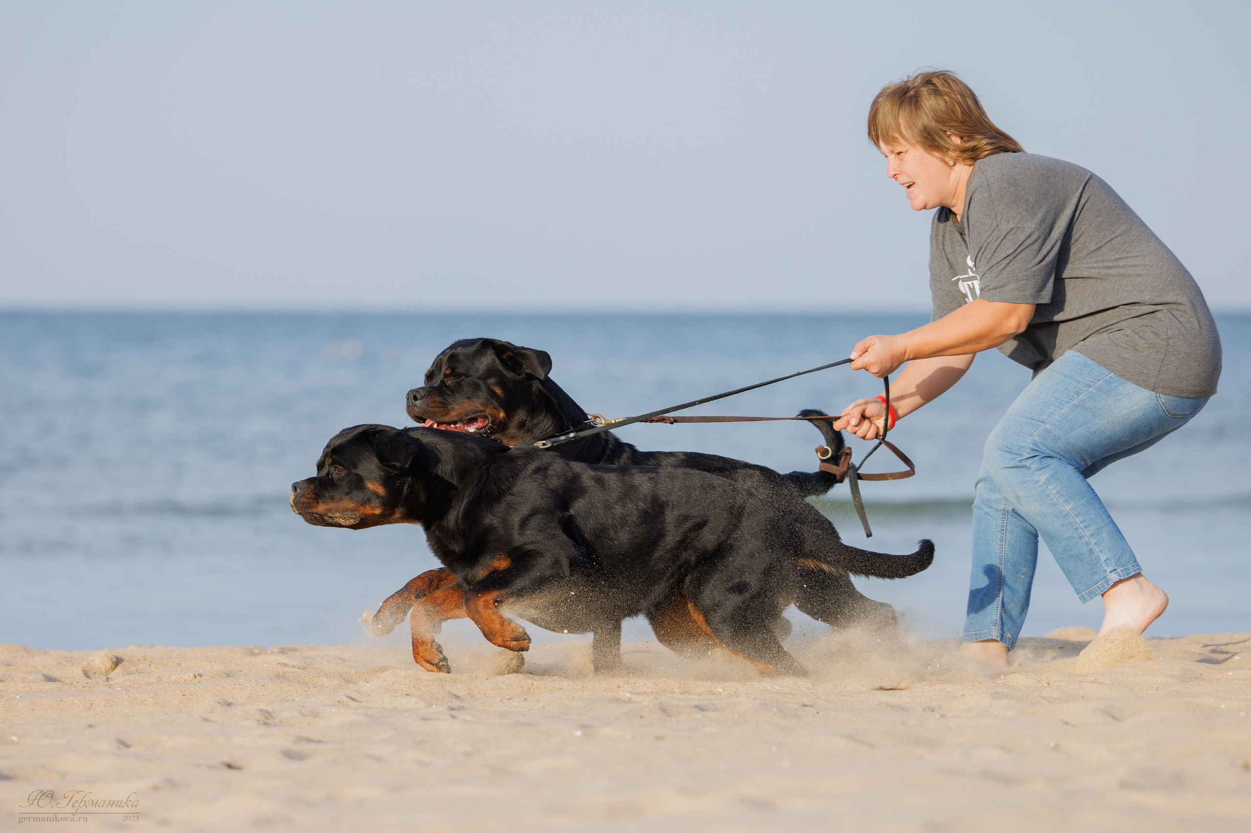 Свободная съемка. Фотограф-анималист Юлия Германика
